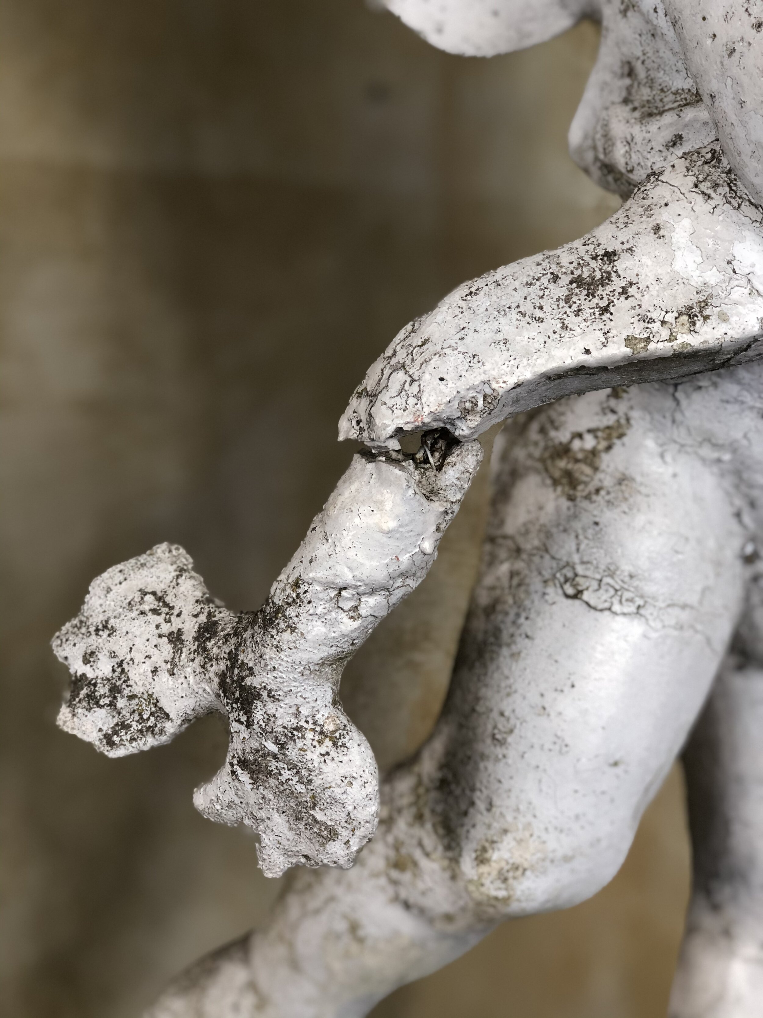 Putto with Dolphin