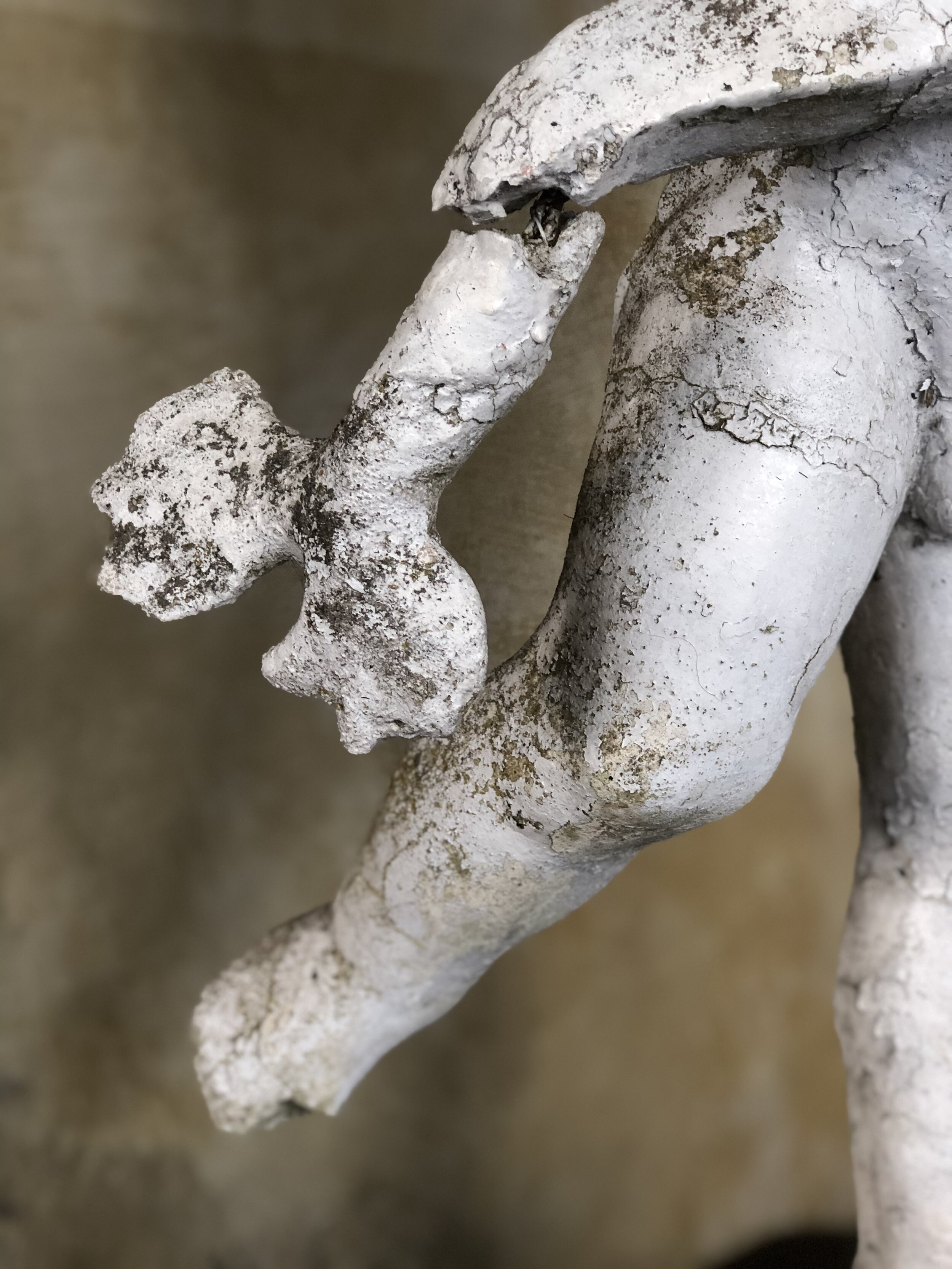 Putto with Dolphin