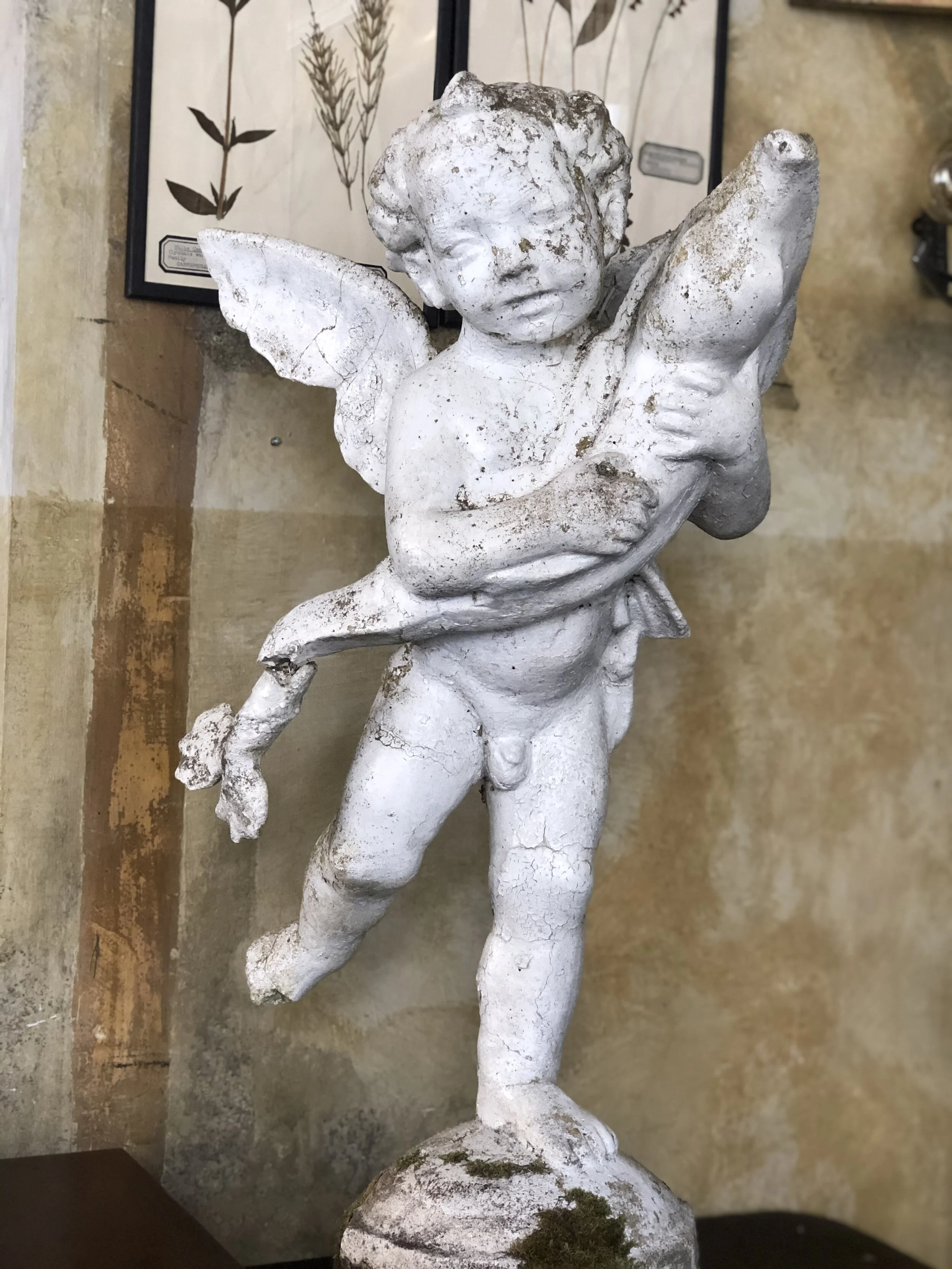 Putto with Dolphin