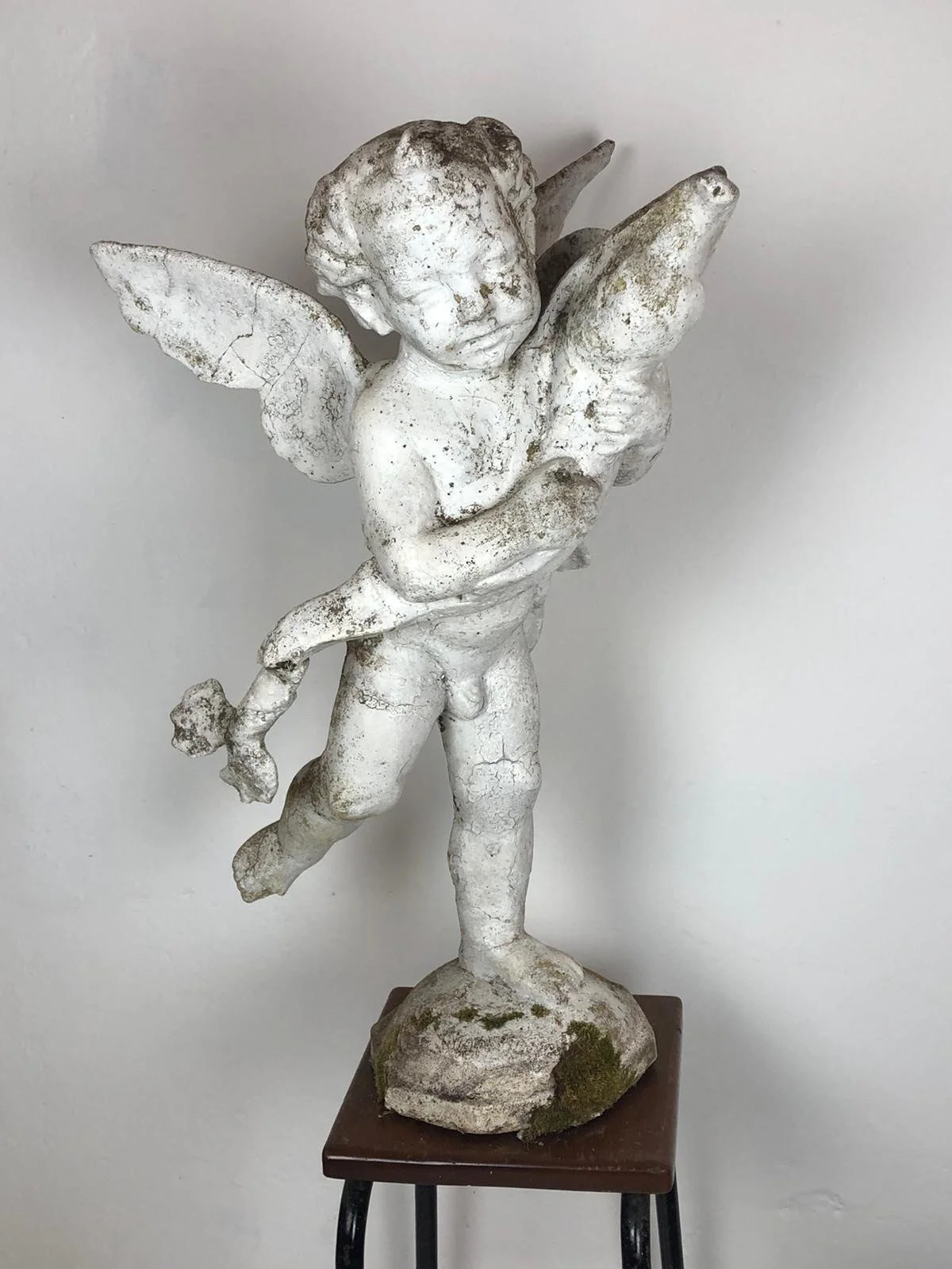 Putto with Dolphin