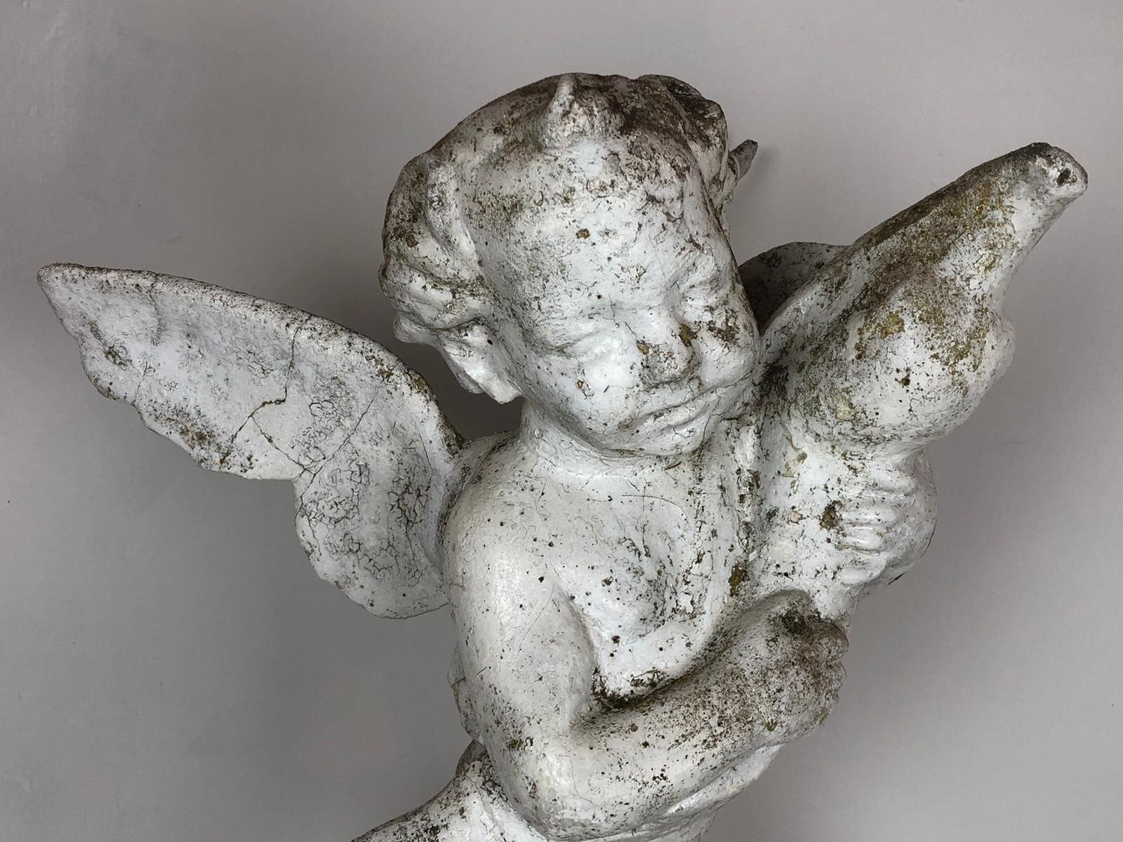 Putto With Dolphin