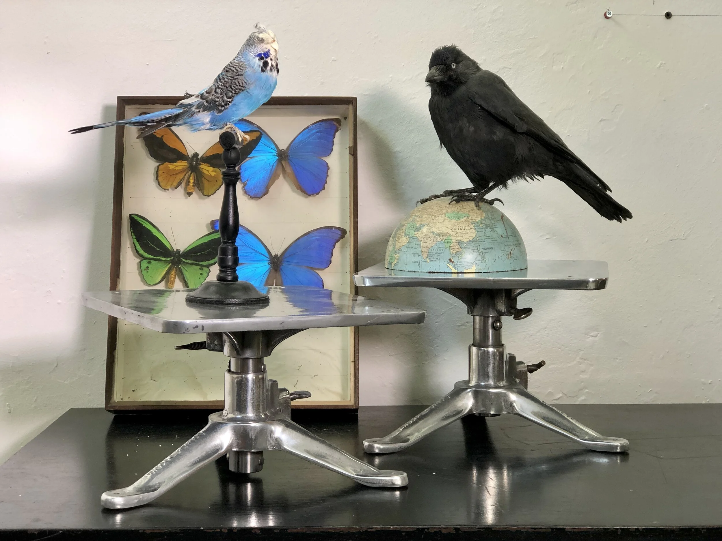 vintage Tiranti Sclupture Stands