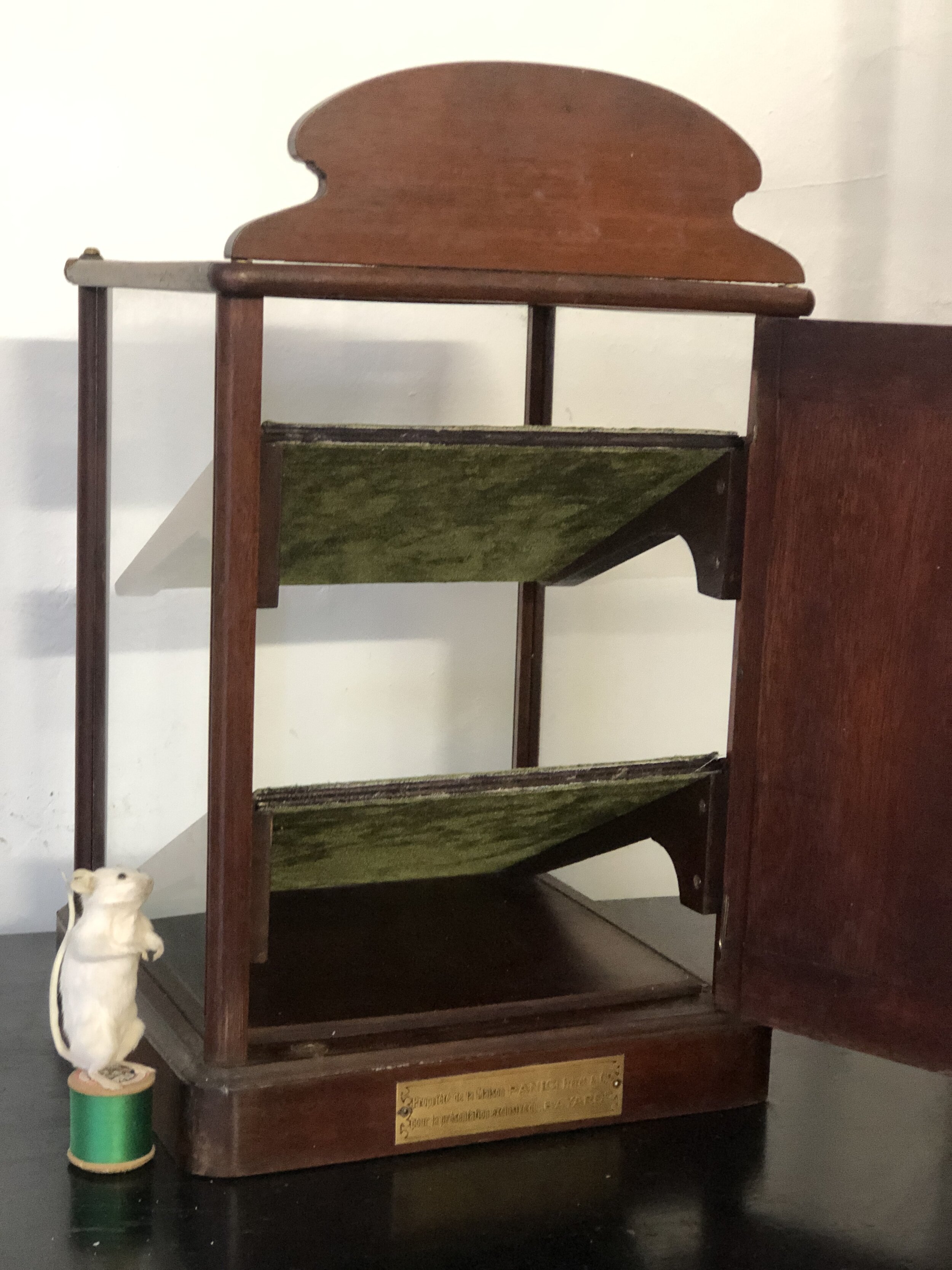 Antique Bayard Fountain Pen Display Cabinet