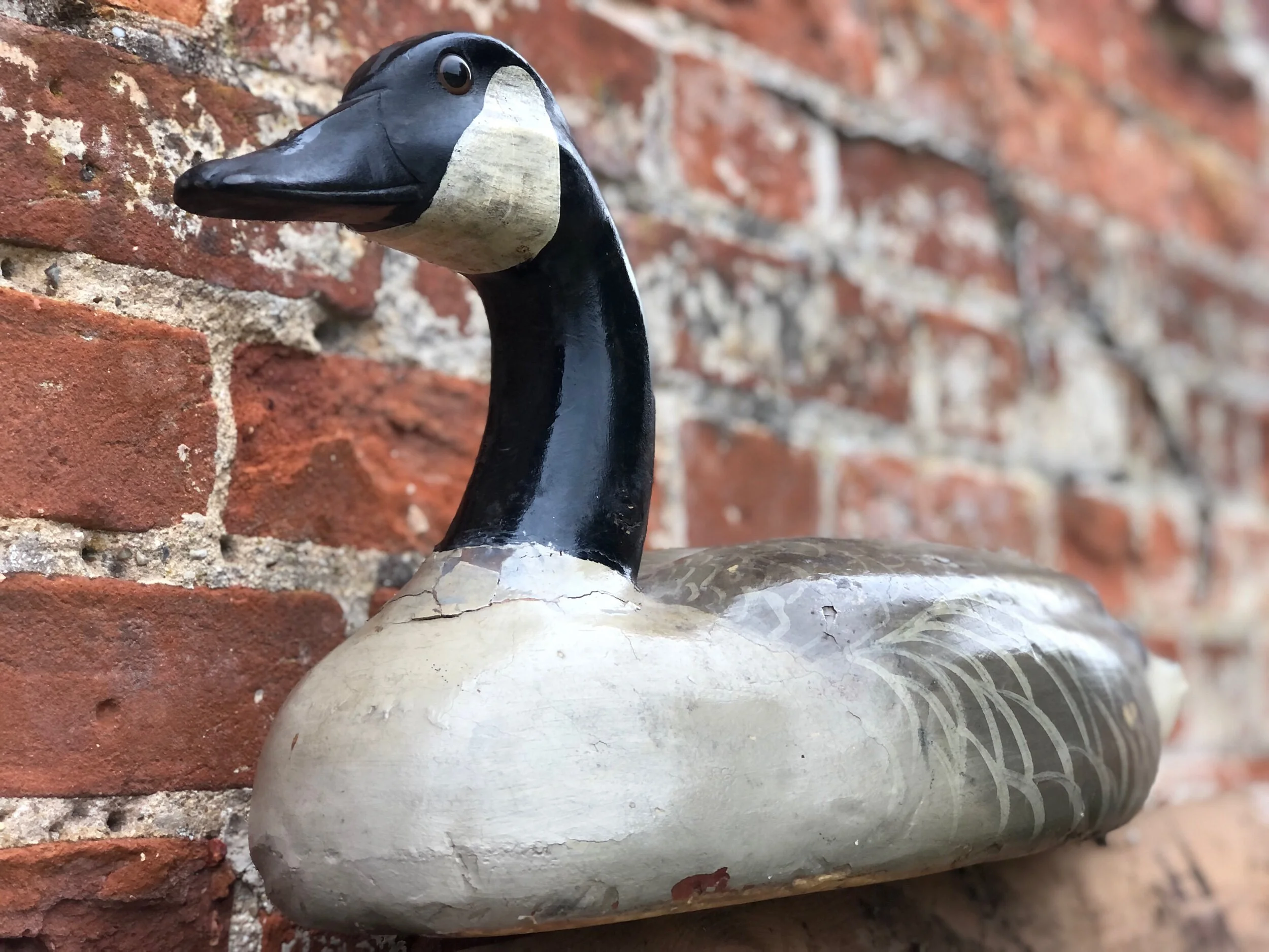 canada goose decoy