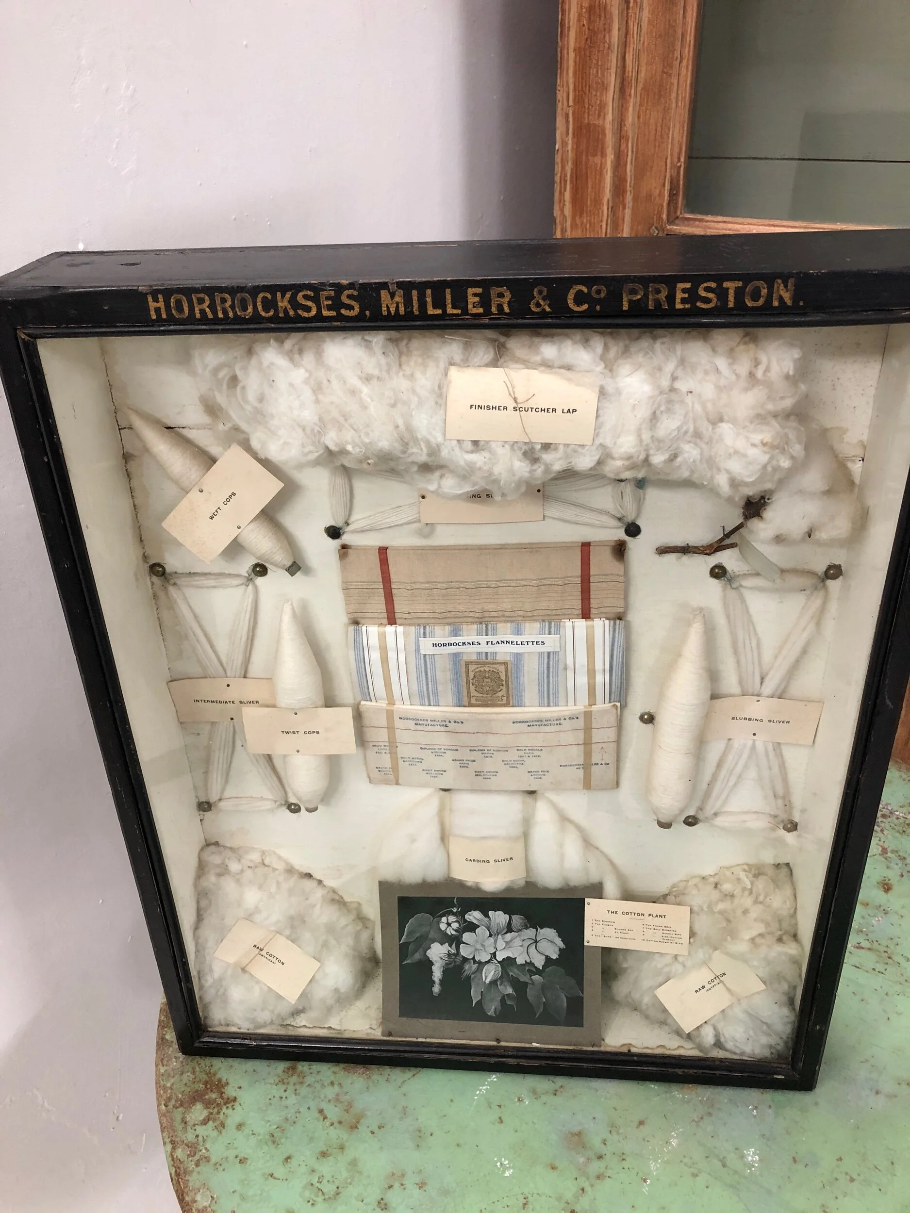 Early 20th Century Trade Sampler Case