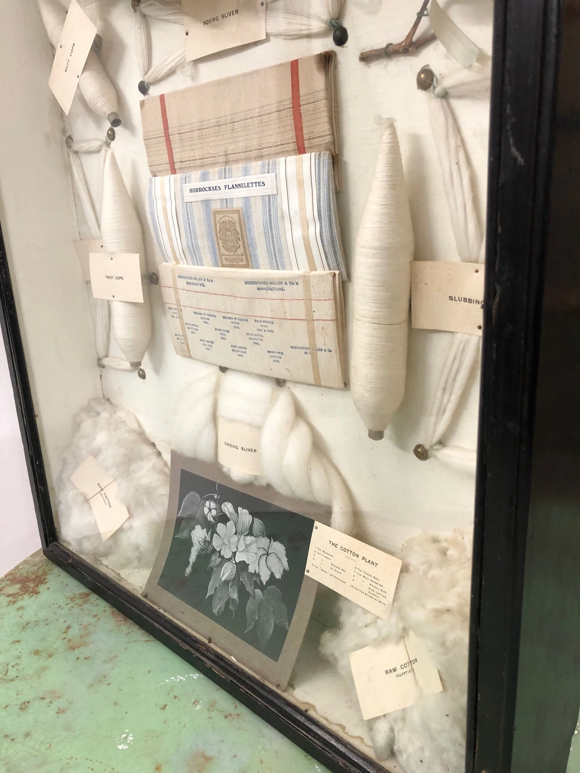 Early 20th Century Trade Sampler Case