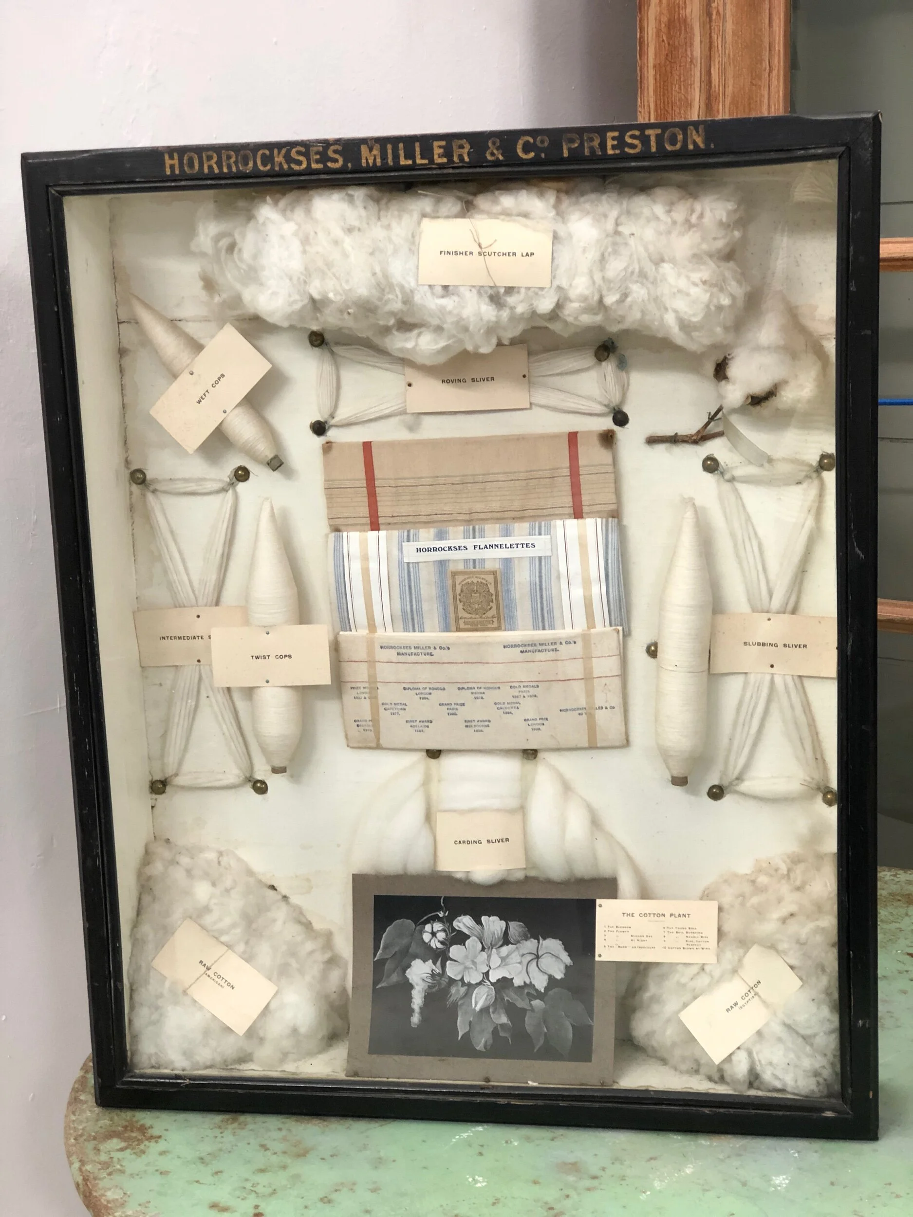 Early 20th Century Trade Sampler Case