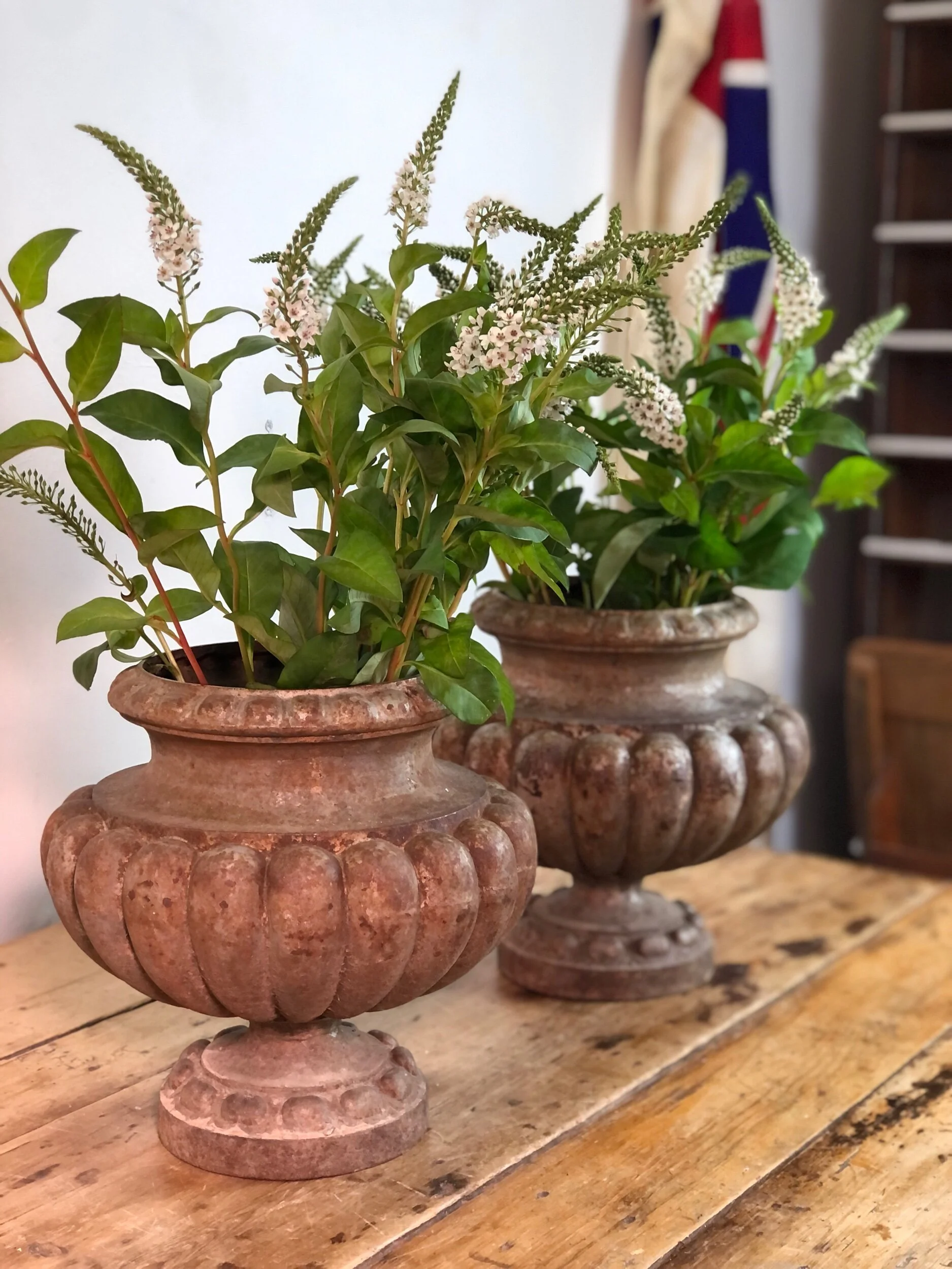 Pair 19th Century Cast Iron Urns
