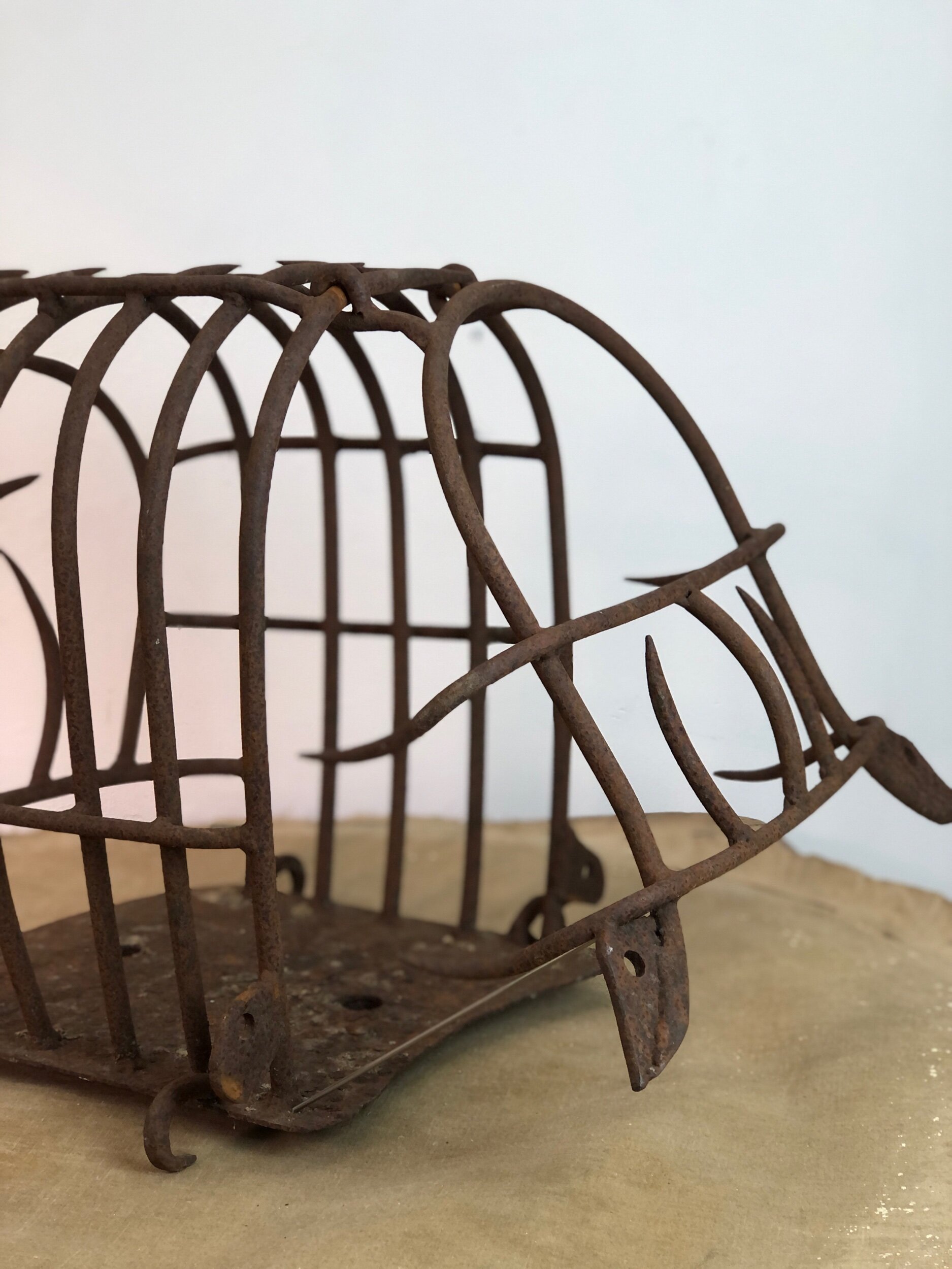 19th Century Wrought Iron Cage