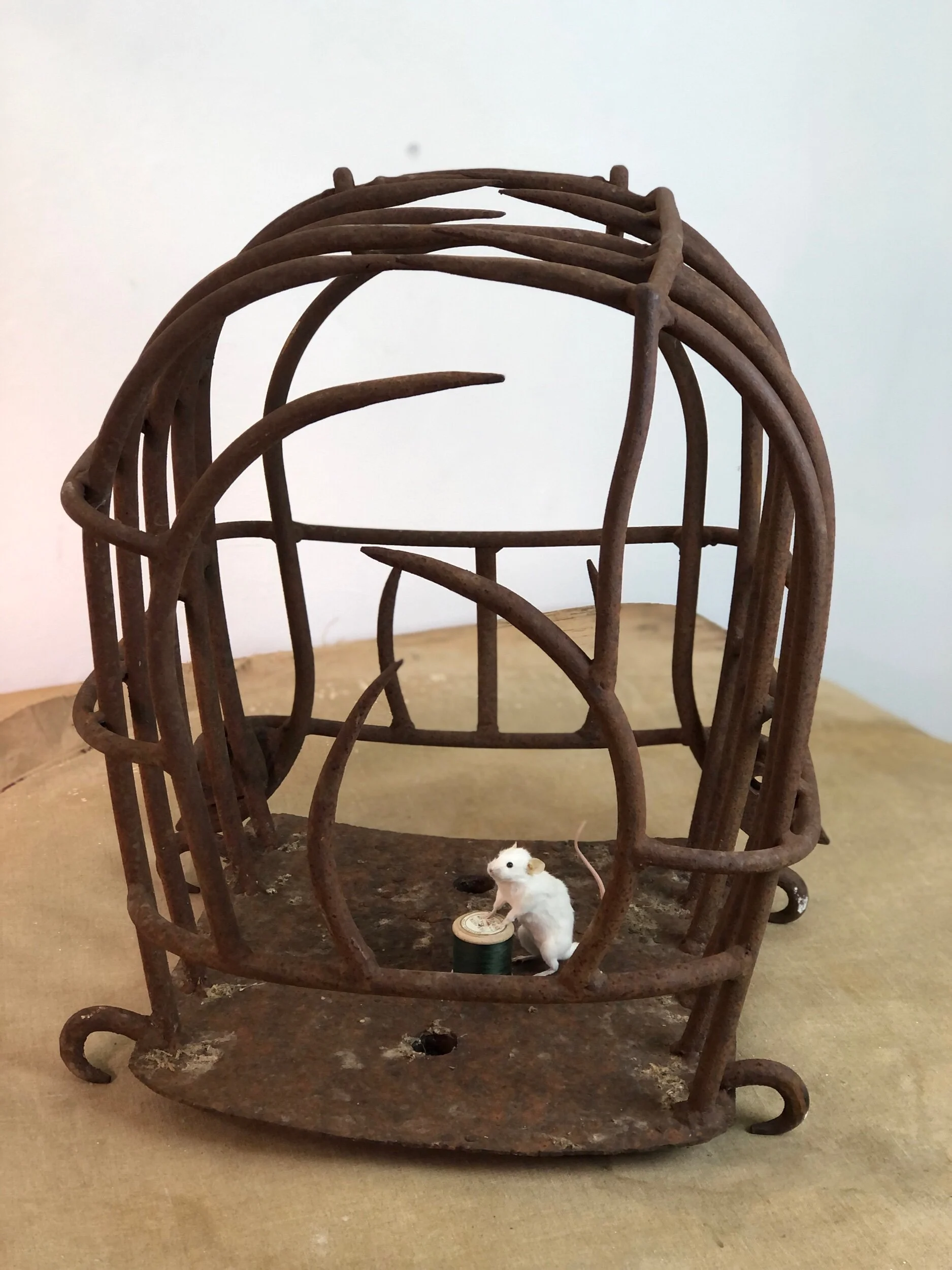 19th Century Wrought Iron Cage