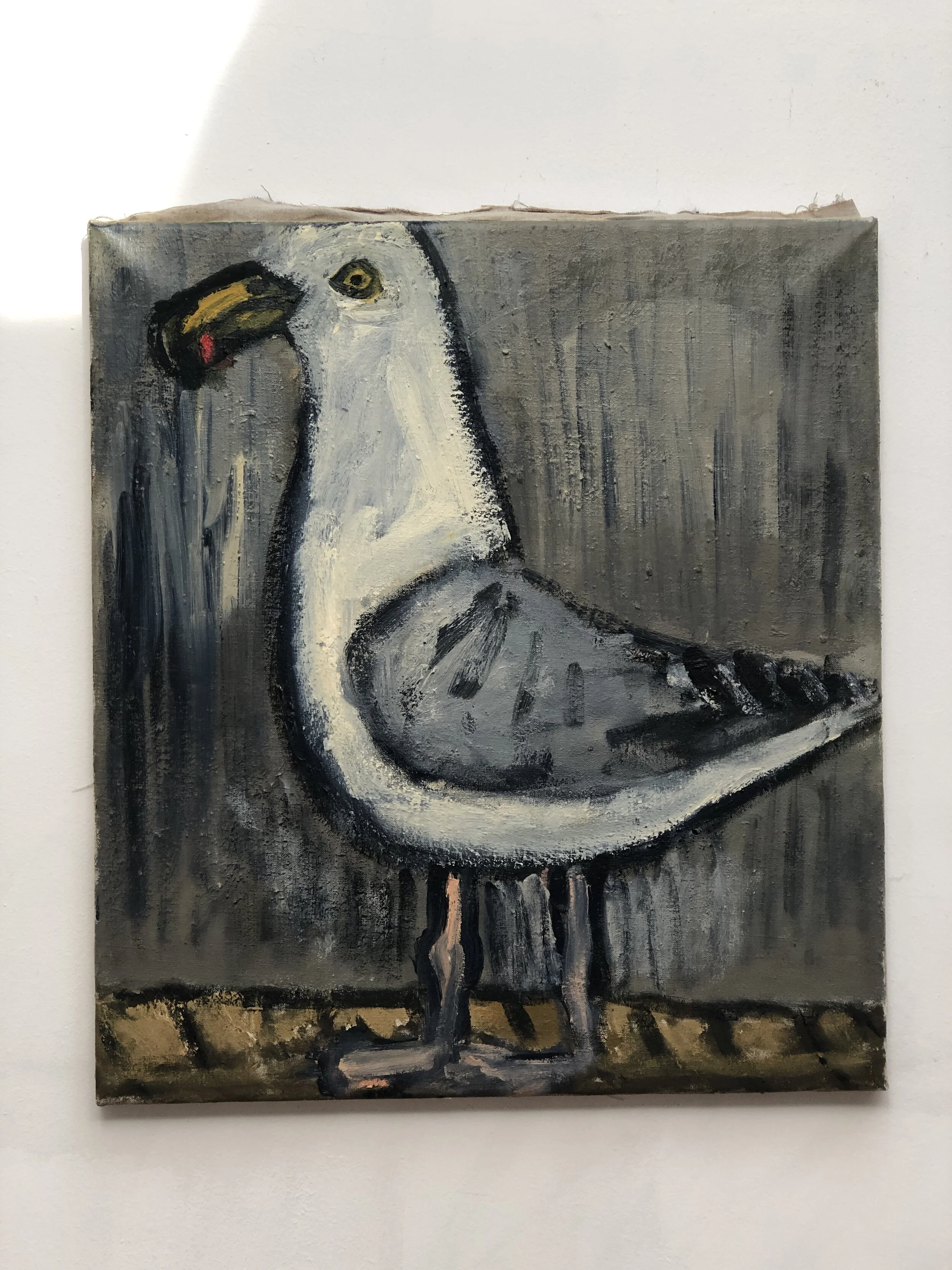 Seagull - Oil on Canvas