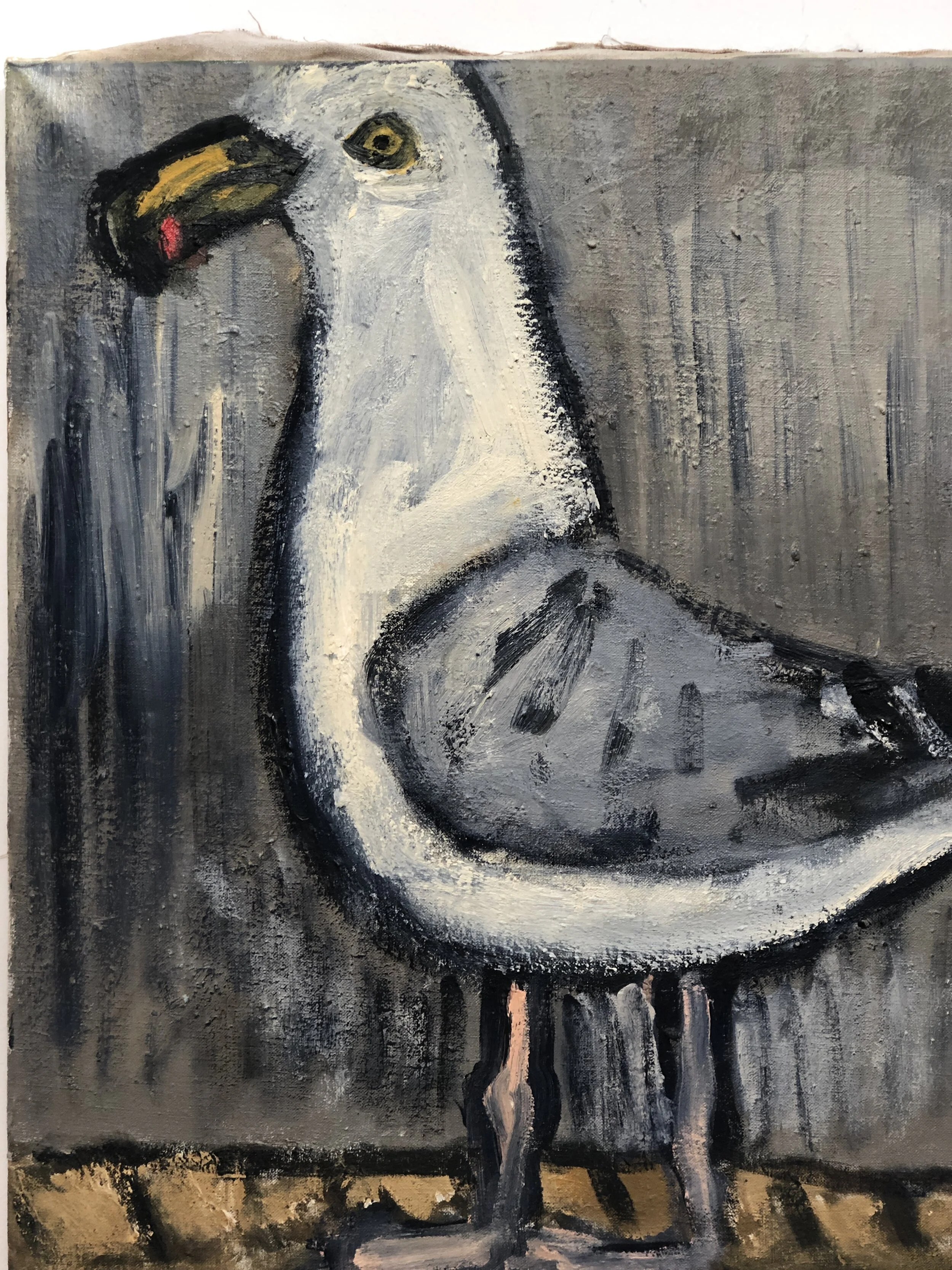 Seagull - Oil on Canvas