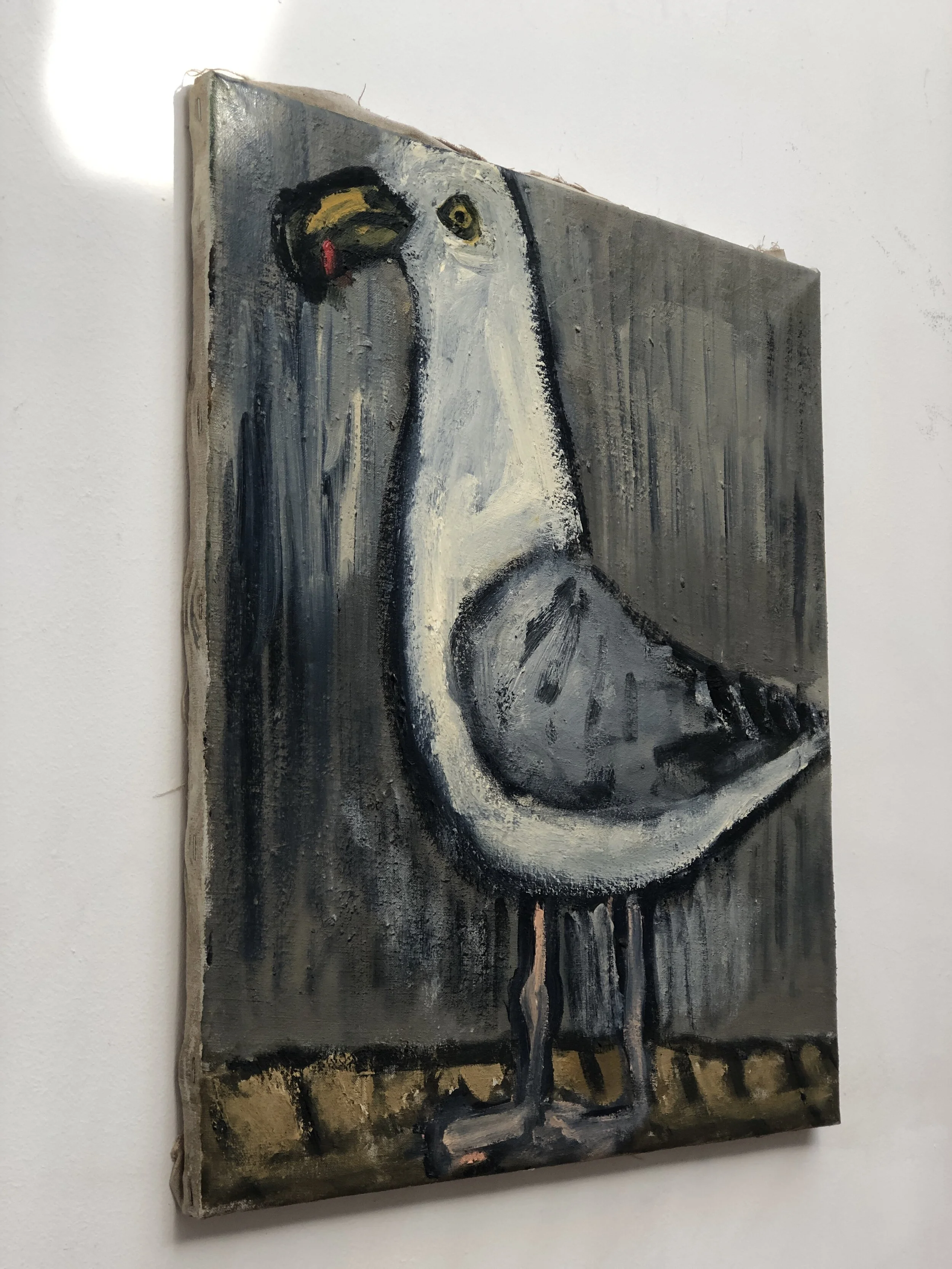 Seagull - Oil on Canvas