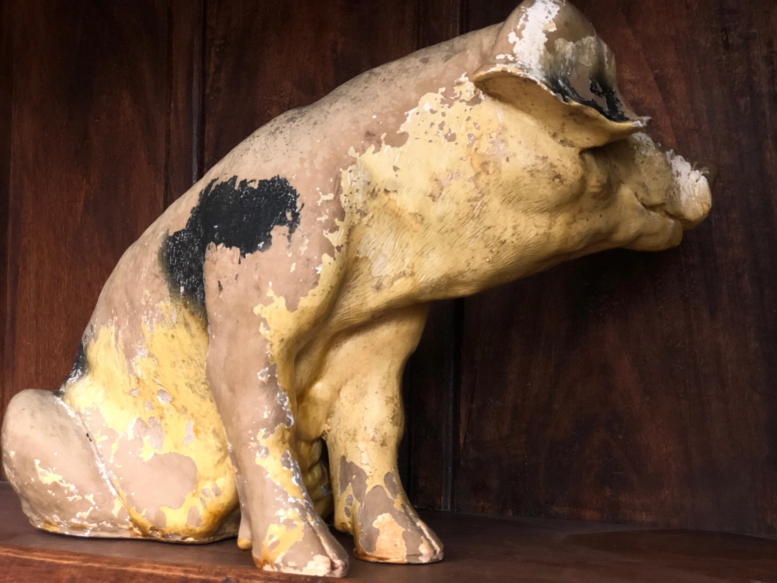 Butchers Display Pig
