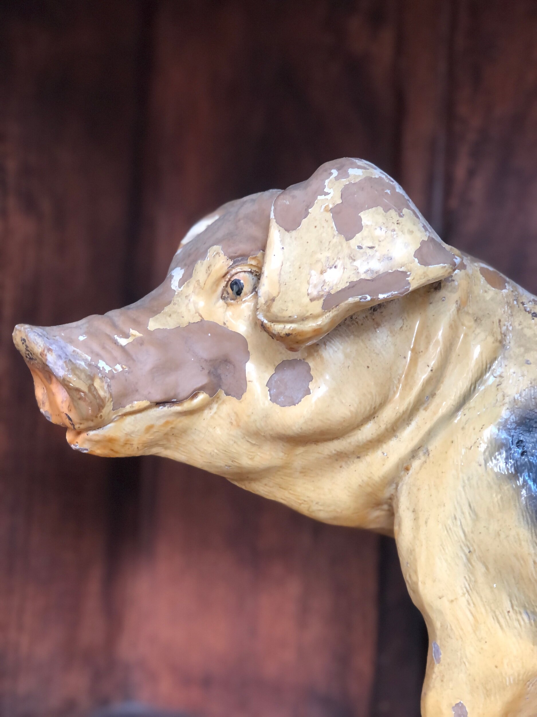 Butchers Display Pig