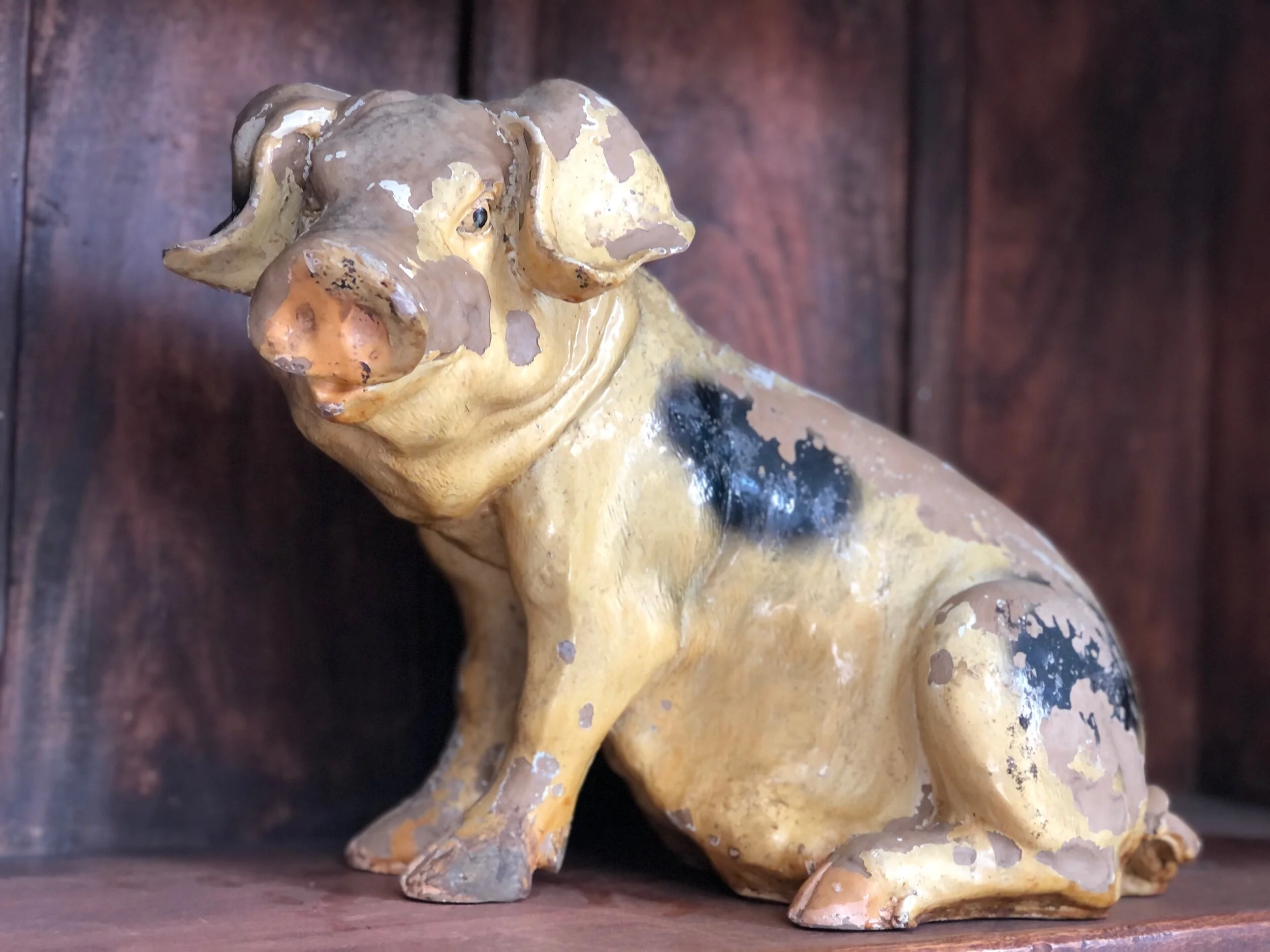 Butchers Display Pig