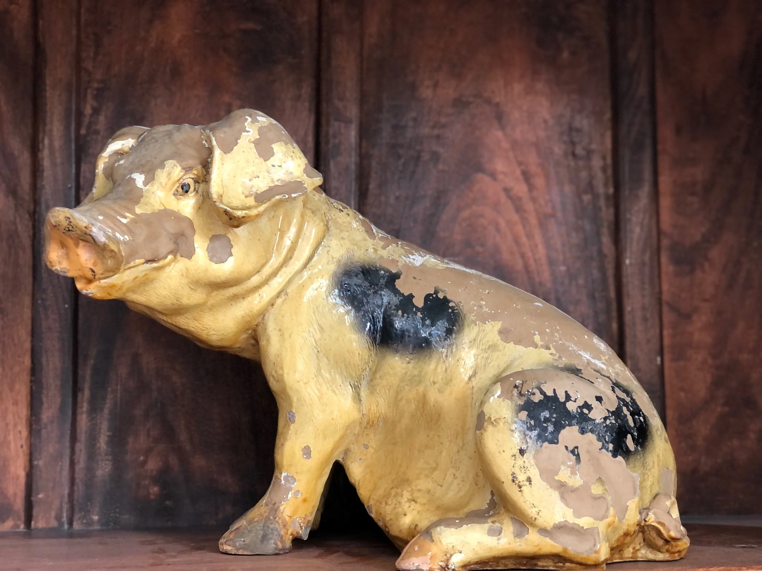 Butchers Display Pig