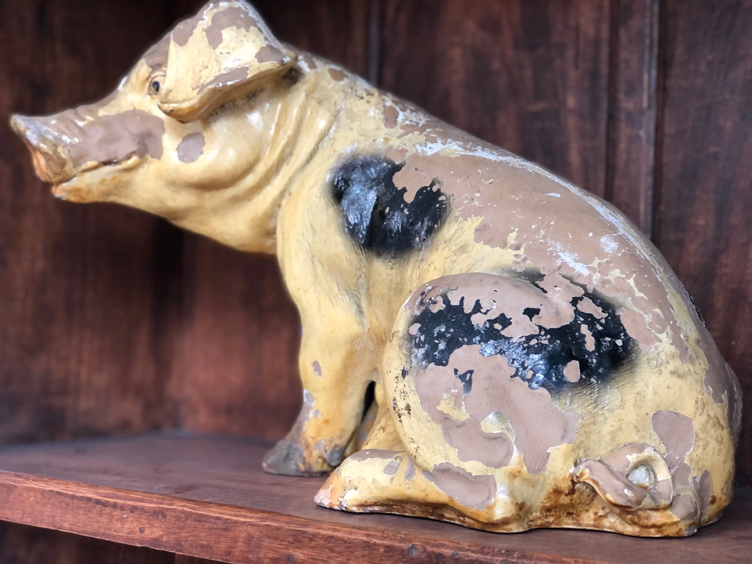 Butchers Display Pig
