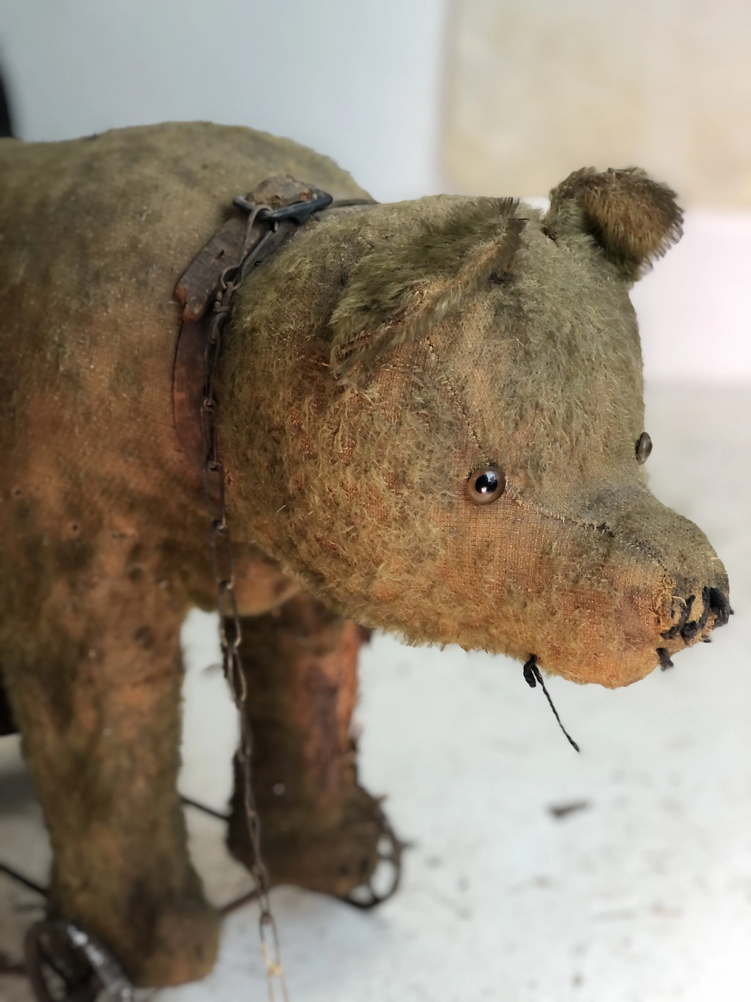Antique Bing Bear on Wheels