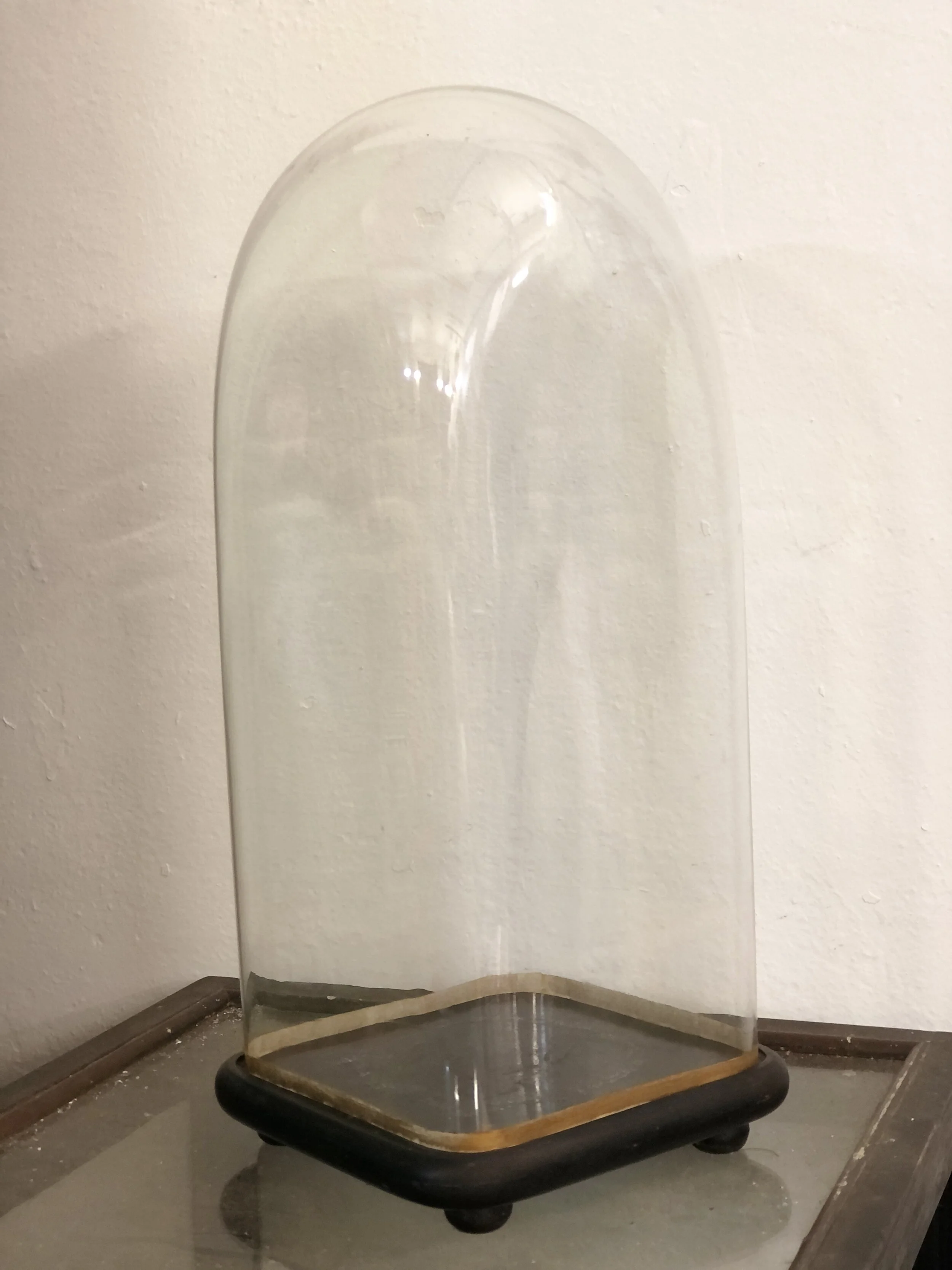 Rare 19th Century Square Glass Dome