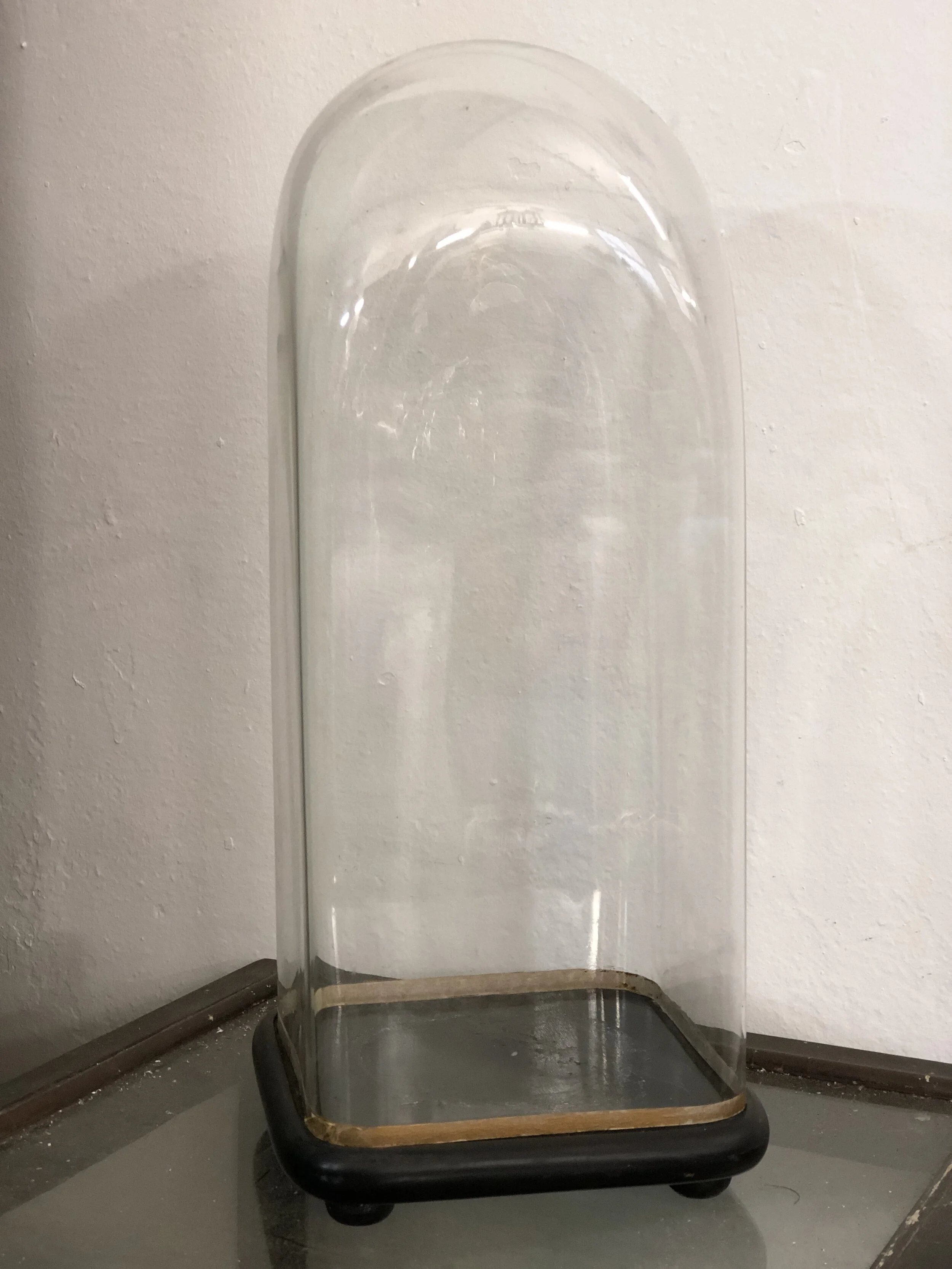 Rare 19th Century Square Glass Dome