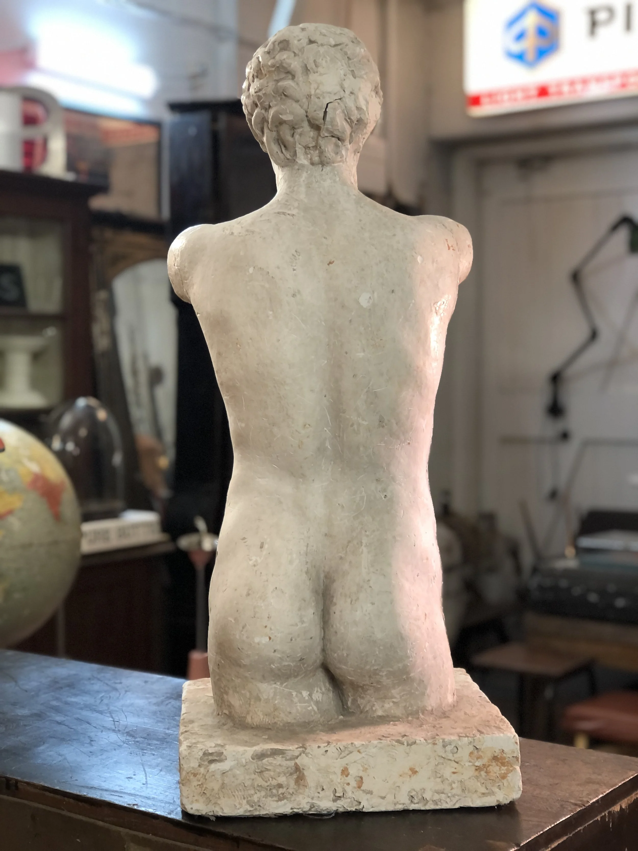 Mid Century Plaster Torso of Apollo