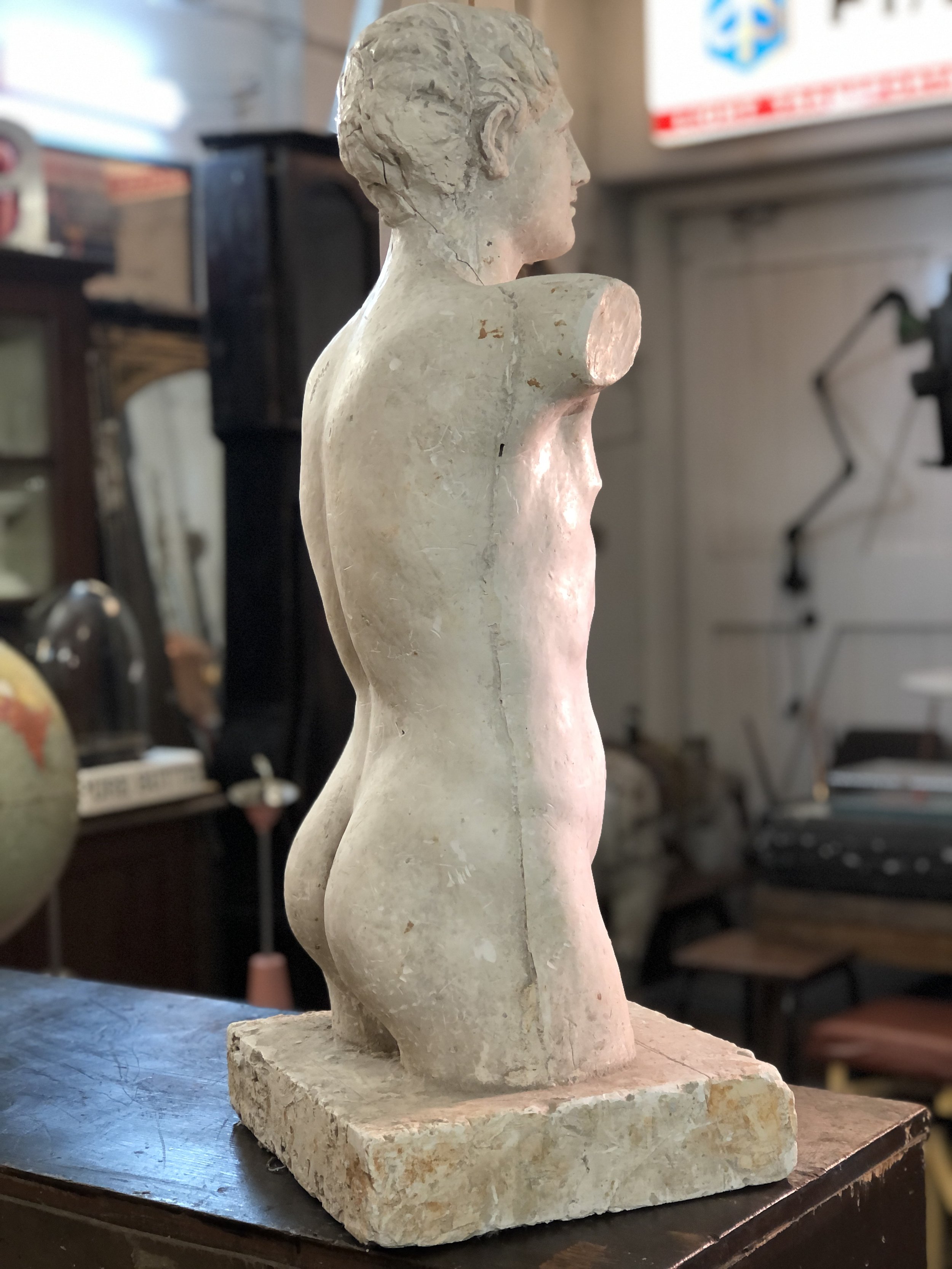 Mid Century Plaster Torso of Apollo