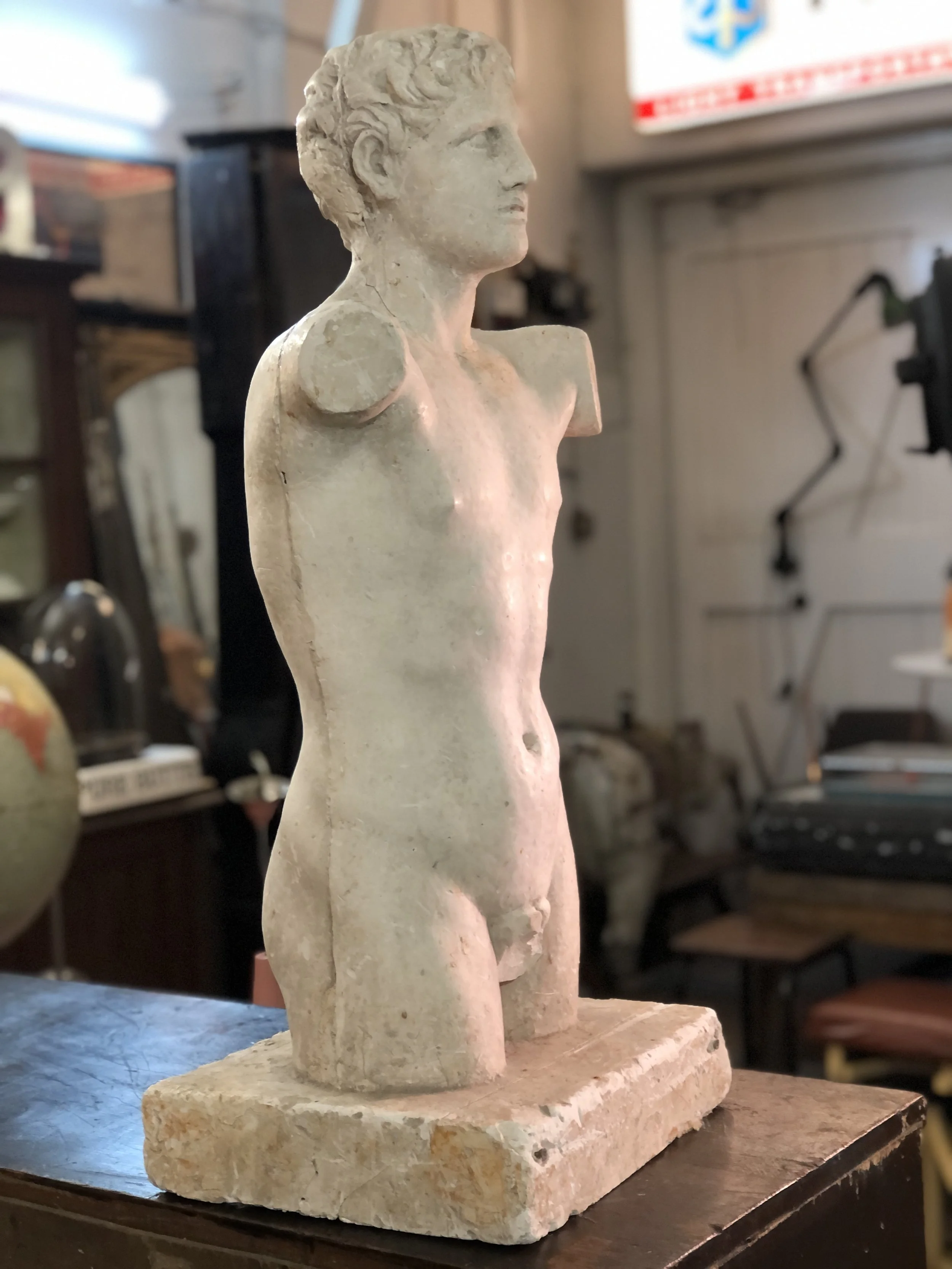Mid Century Plaster Torso of Apollo