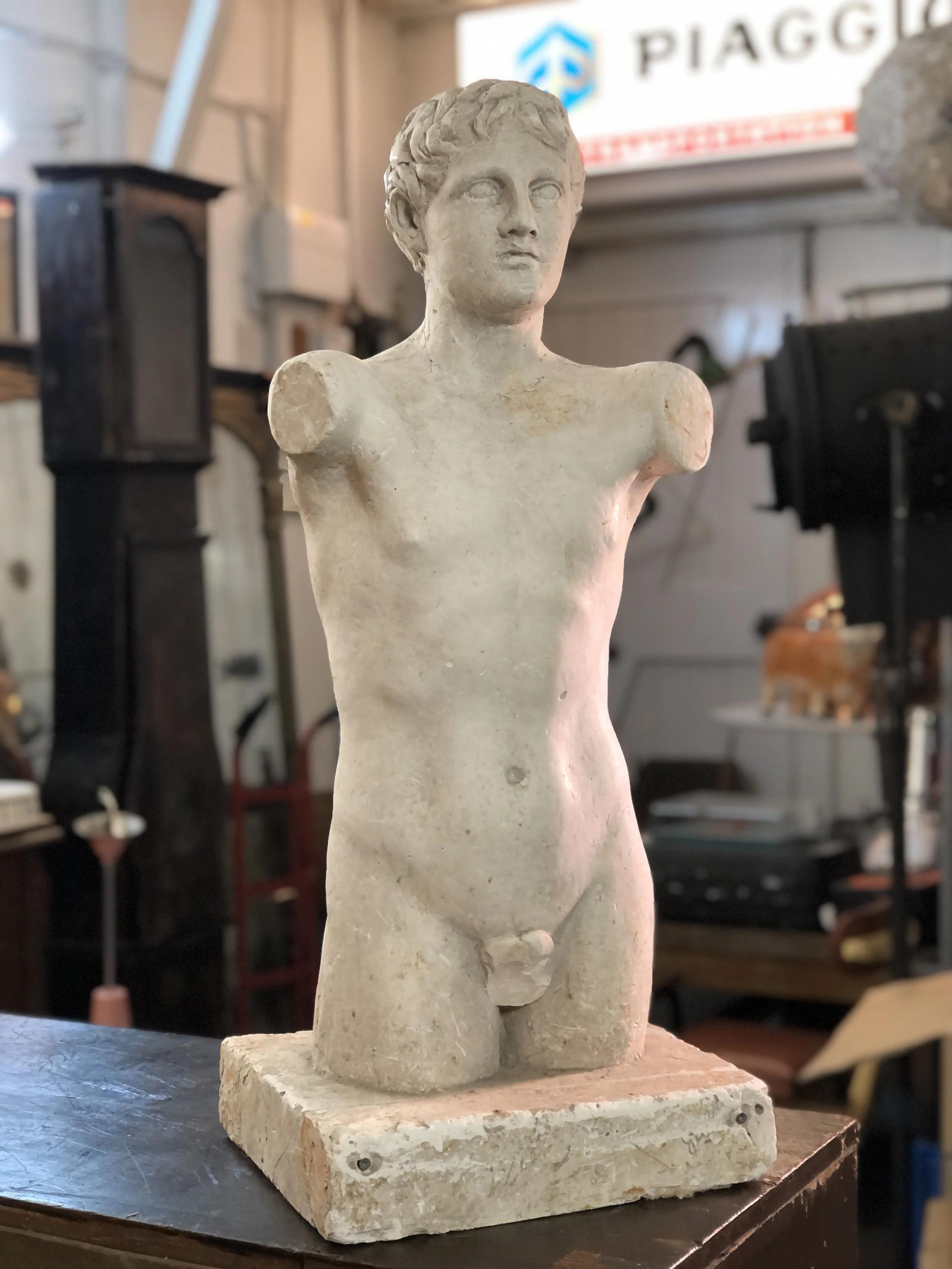 Mid Century Plaster Torso of Apollo