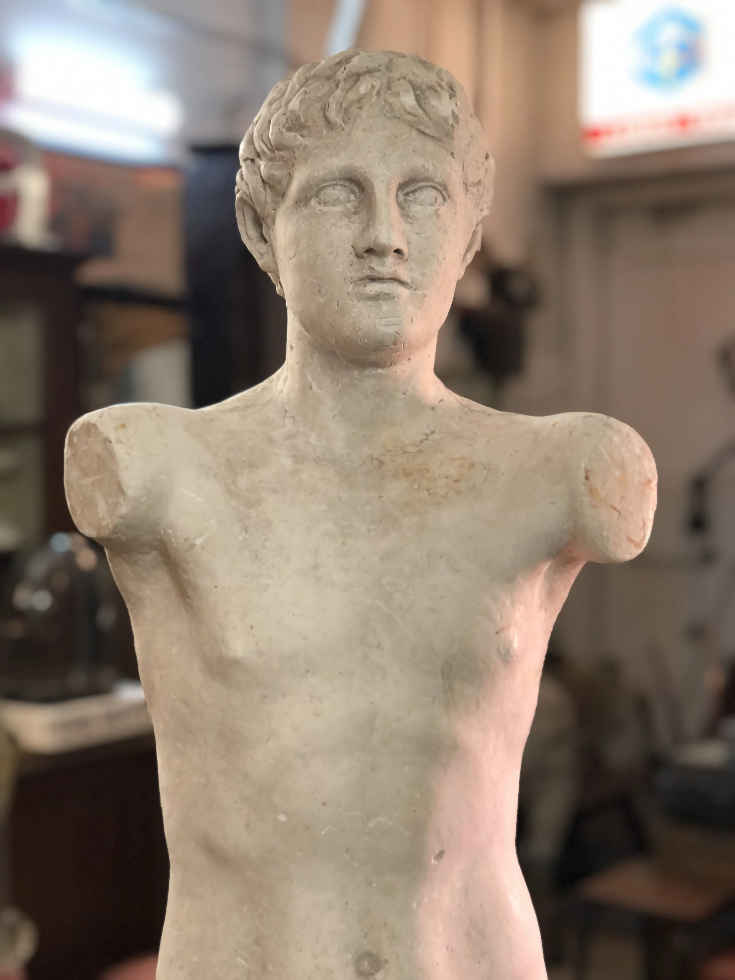 Mid Century Plaster Torso of Apollo