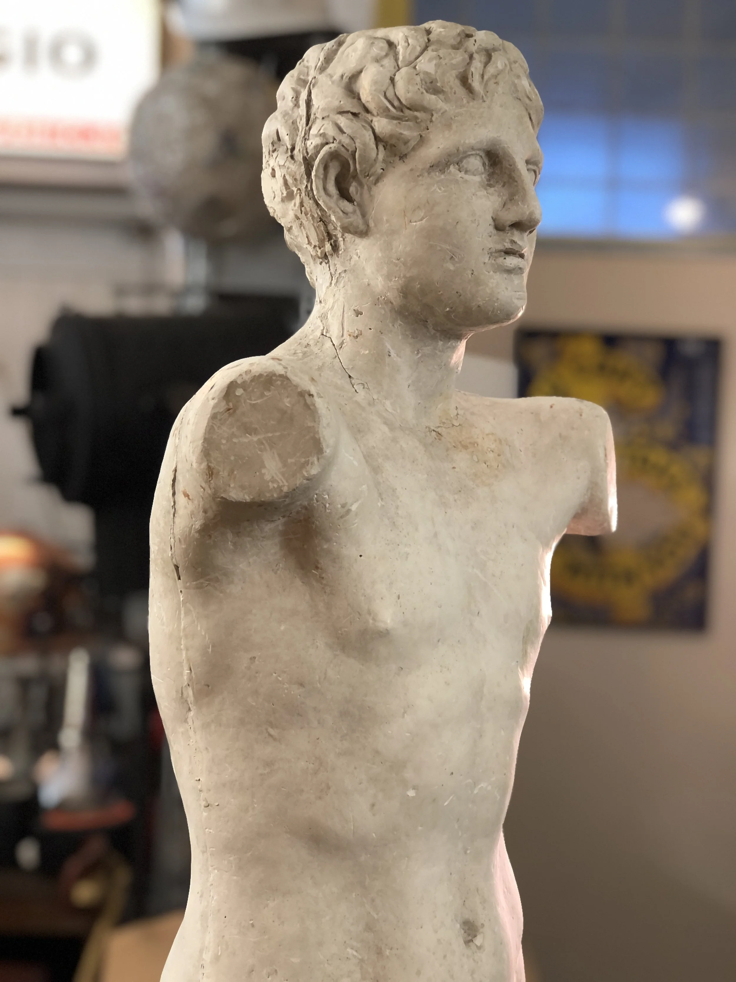 Mid Century Plaster Torso of Apollo