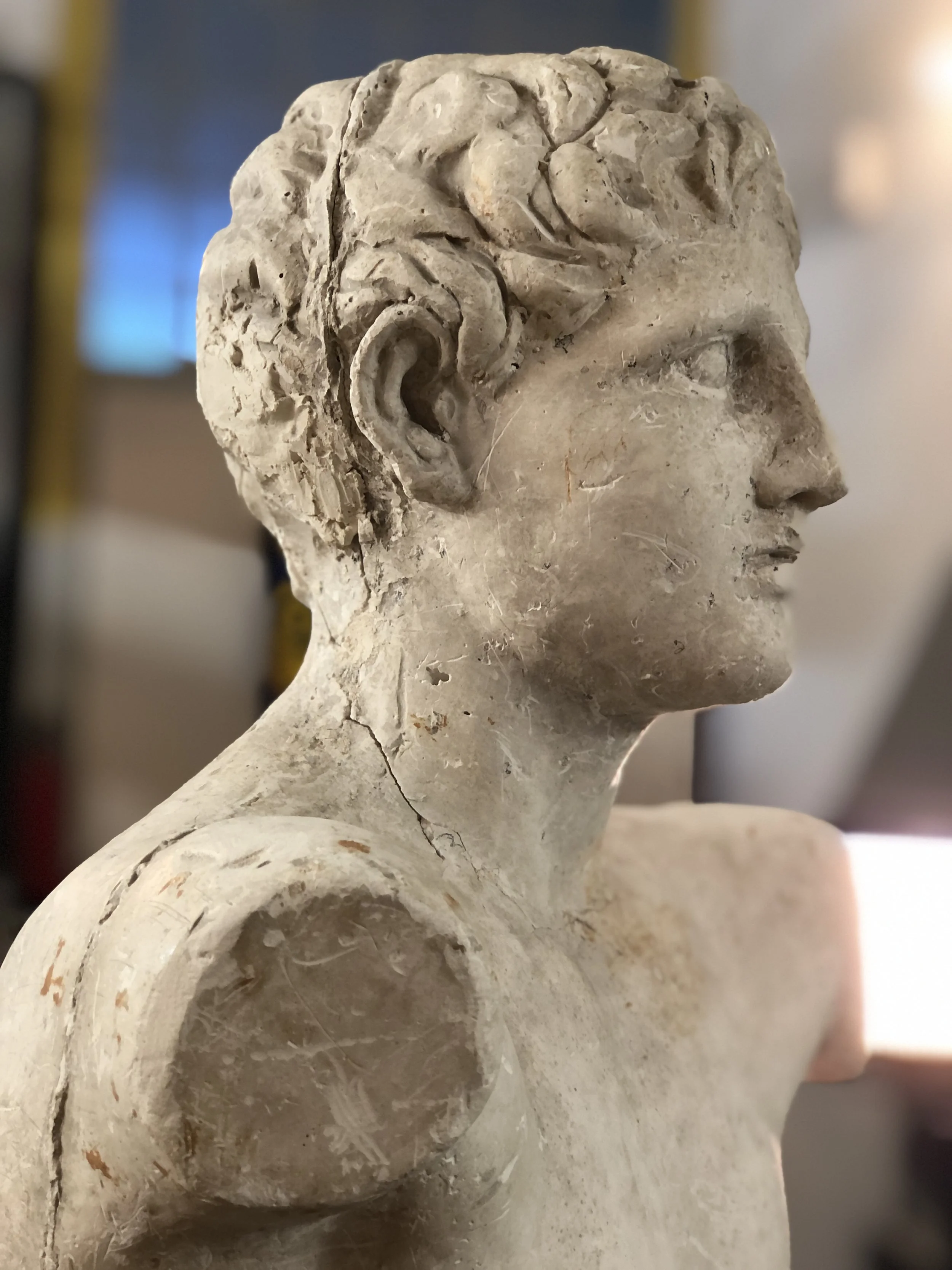Mid Century Plaster Torso of Apollo