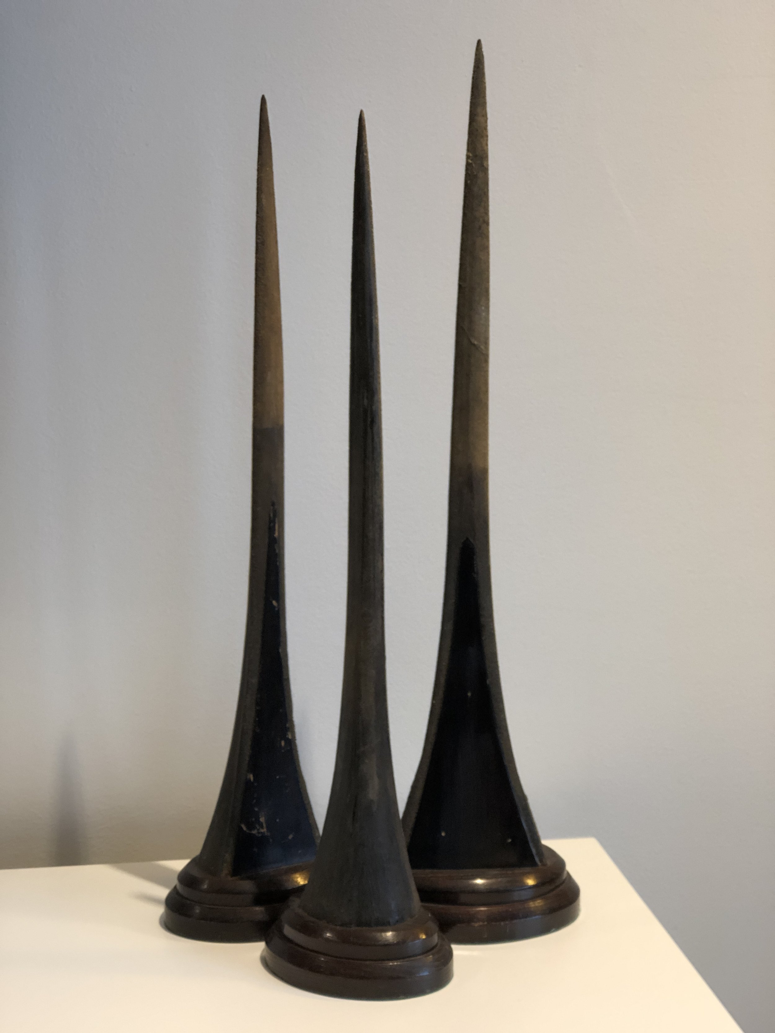 Victorian Taxidermy Trio of Marlin Bill 