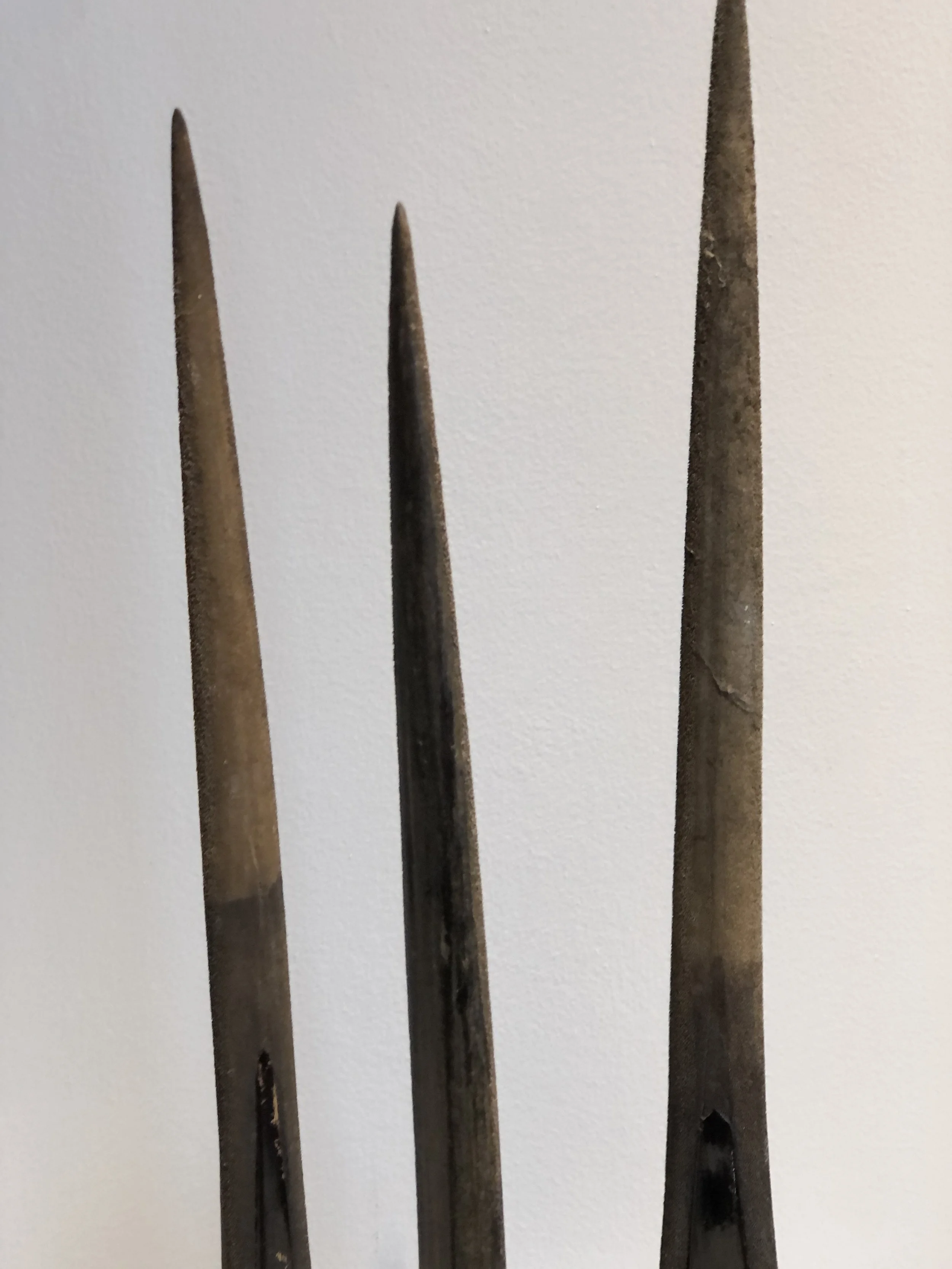 Victorian Taxidermy Trio of Marlin Bill 