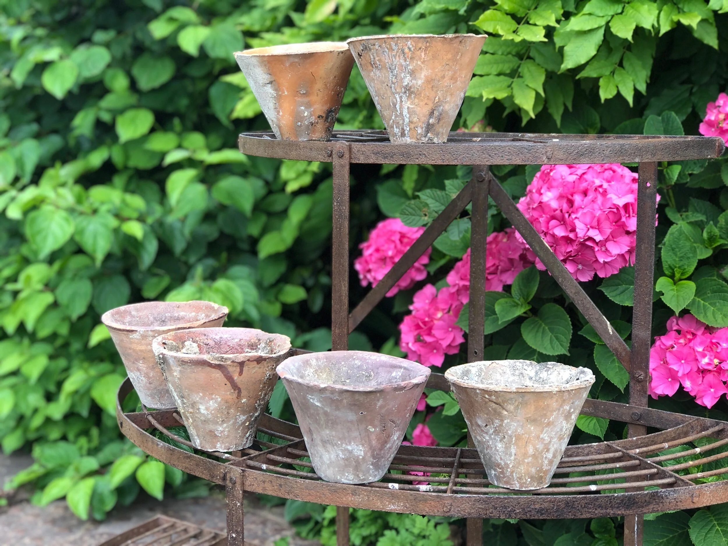 French terracotta resin pots