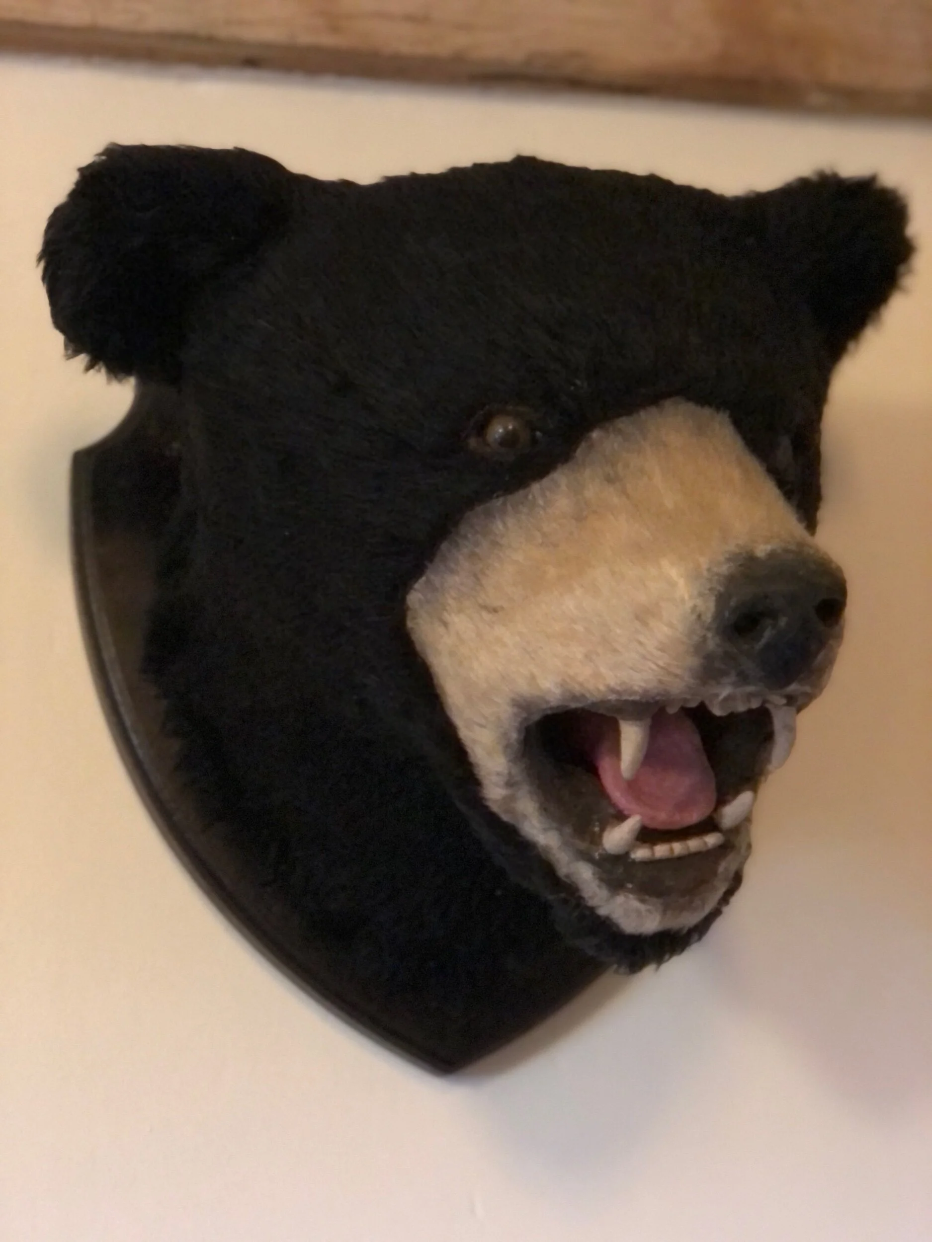 Mounted Bear Head Prop
