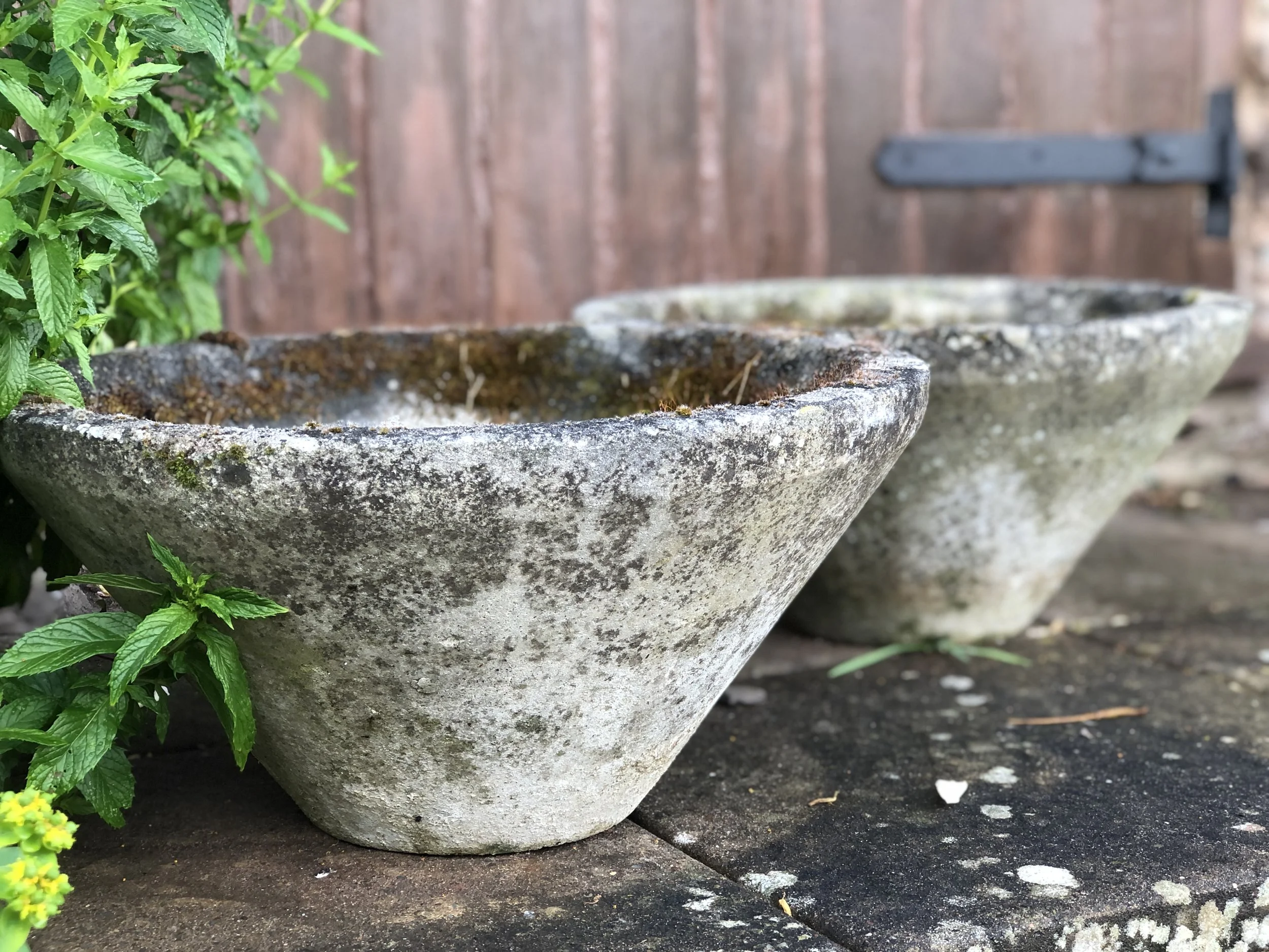 Mid Century Concrete Planters