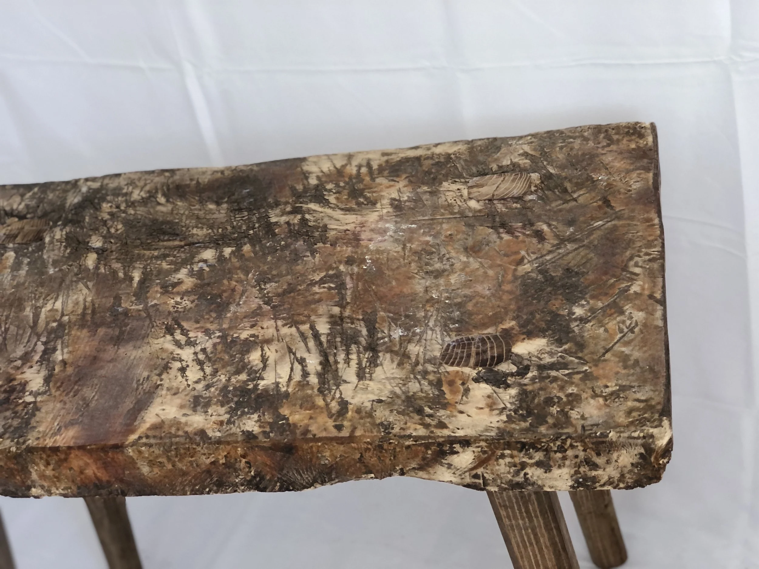 Solid Poplar Slab Side Table