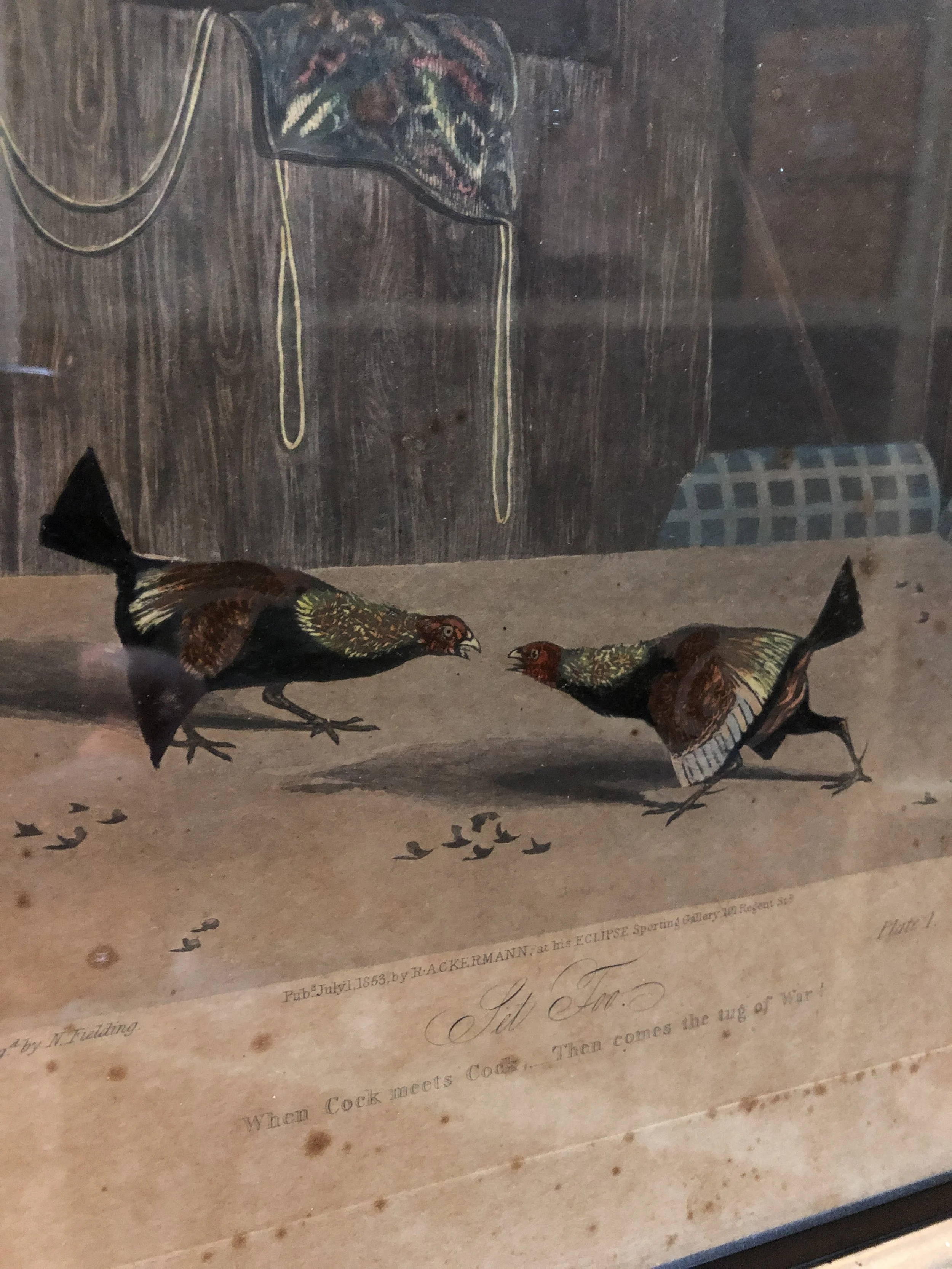 Set of Six Cock Fighting Prints by R. Ackermann 1834