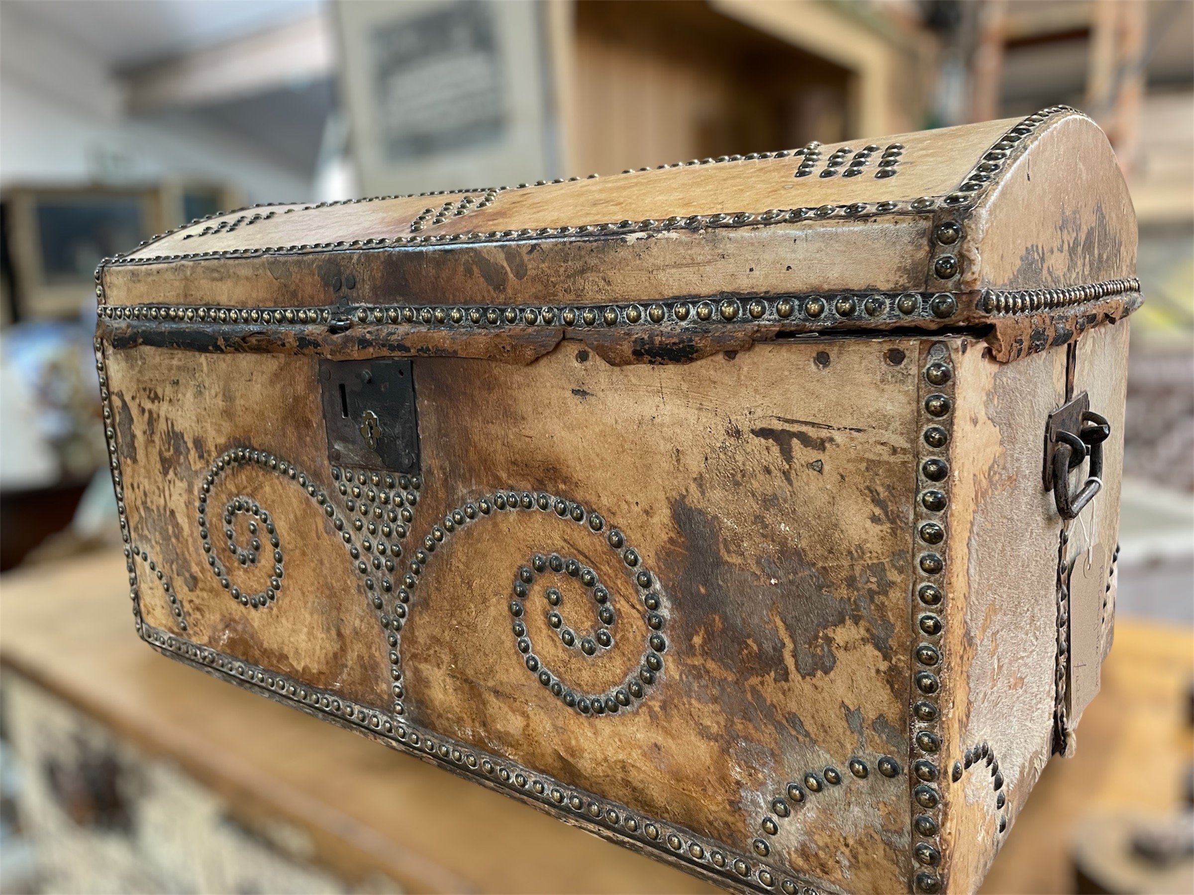 Antique Hide Dome Top Trunk