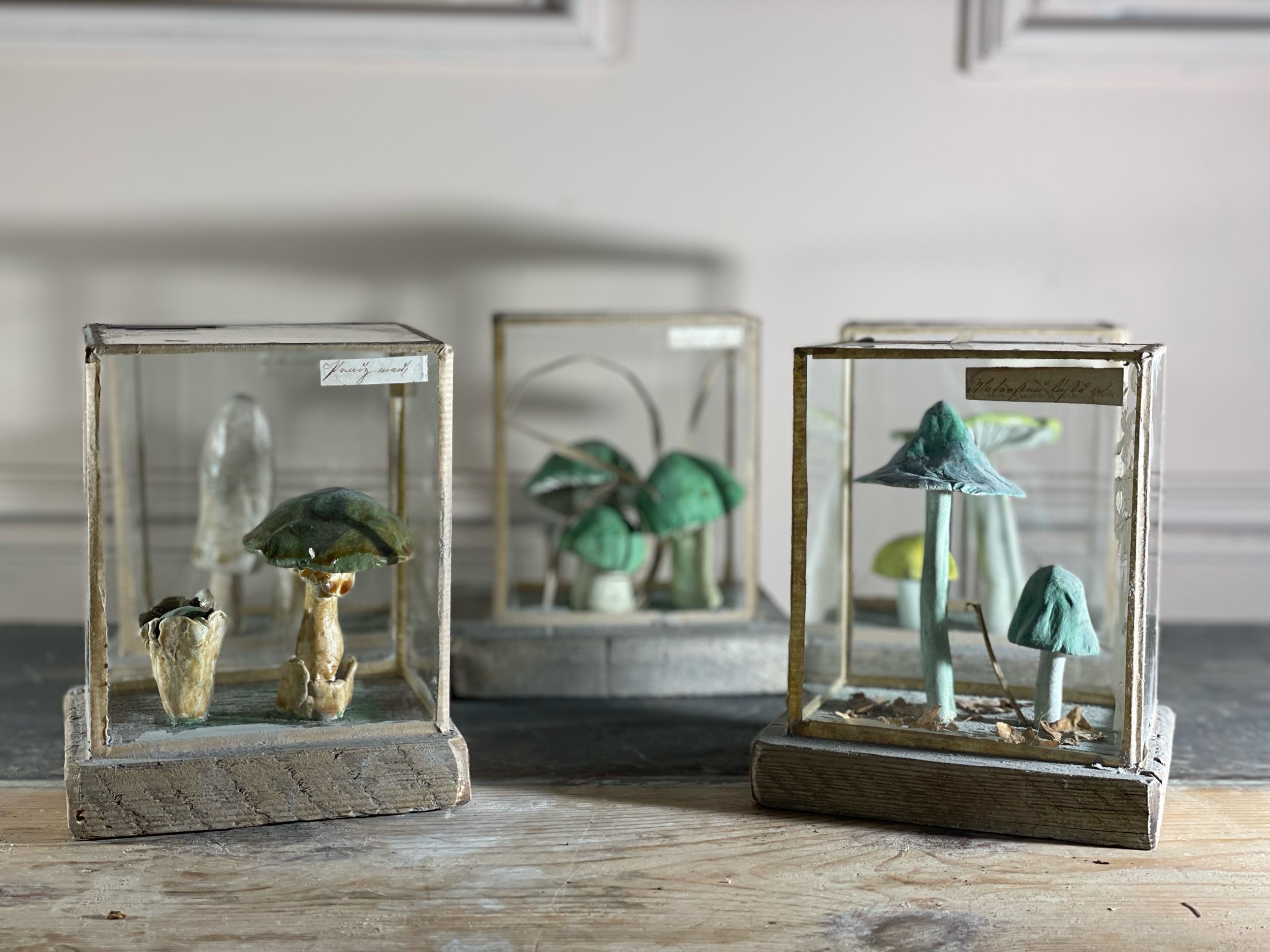 Set of Five 1950s Plaster Mushrooms