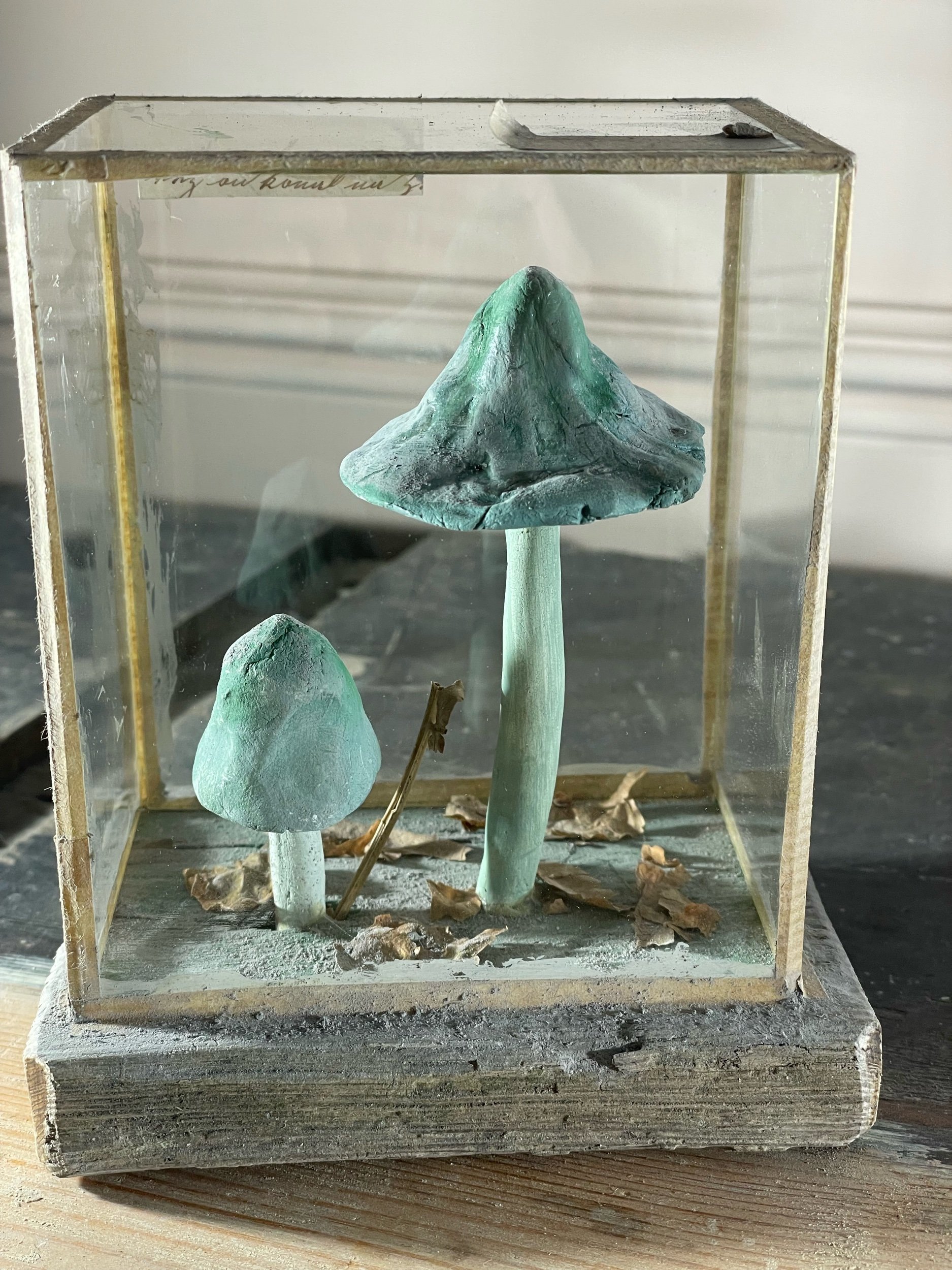 Set of Five 1950s Plaster Mushrooms