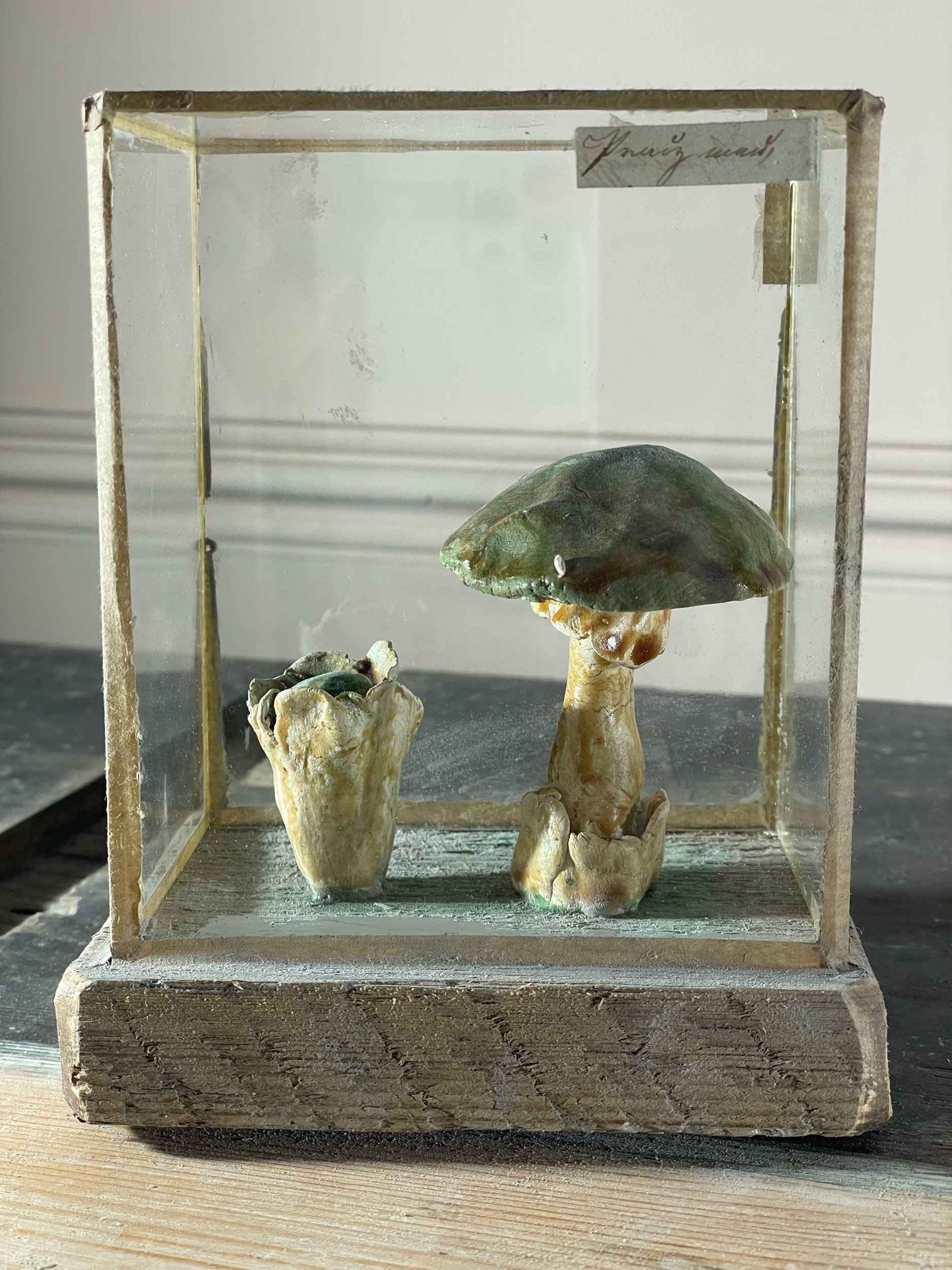 Set of Five 1950s Plaster Mushrooms