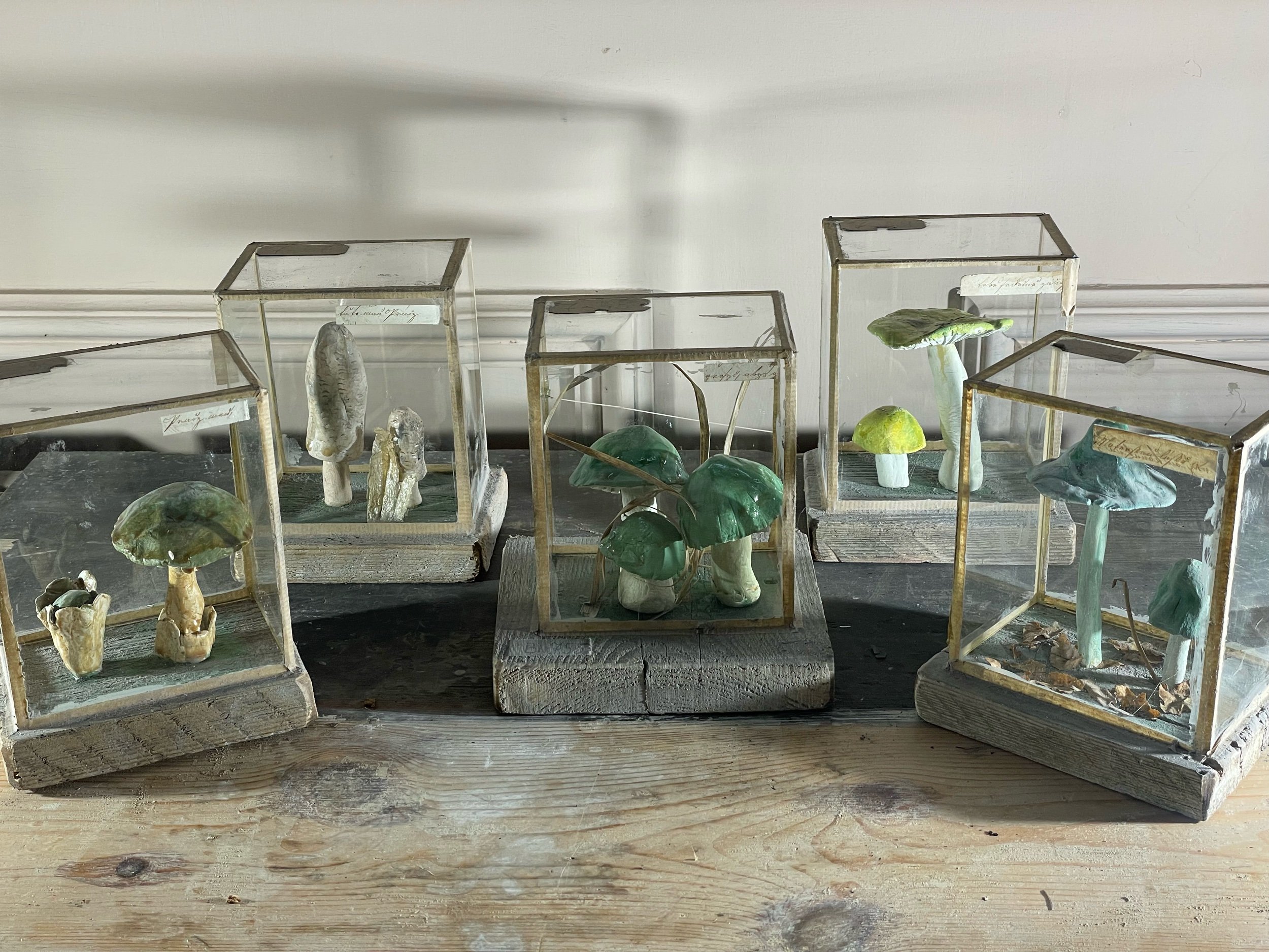 Set of Five 1950s Plaster Mushrooms