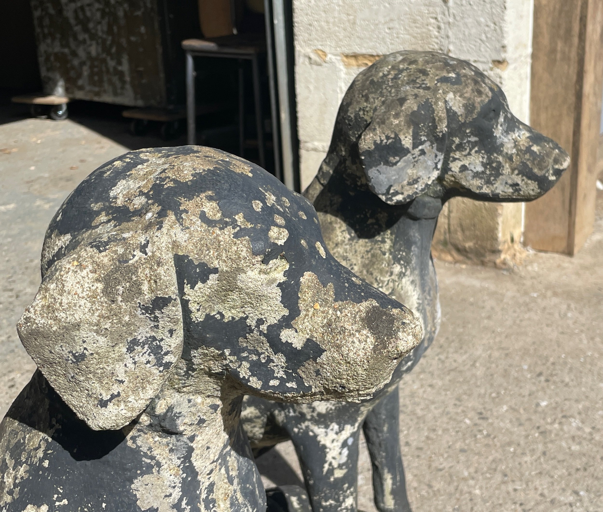 Pair of Stone Dogs