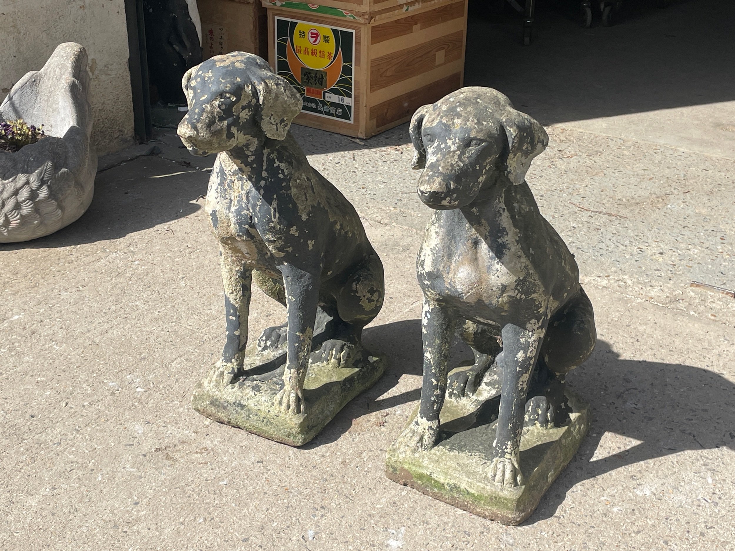 Pair of Stone Dogs