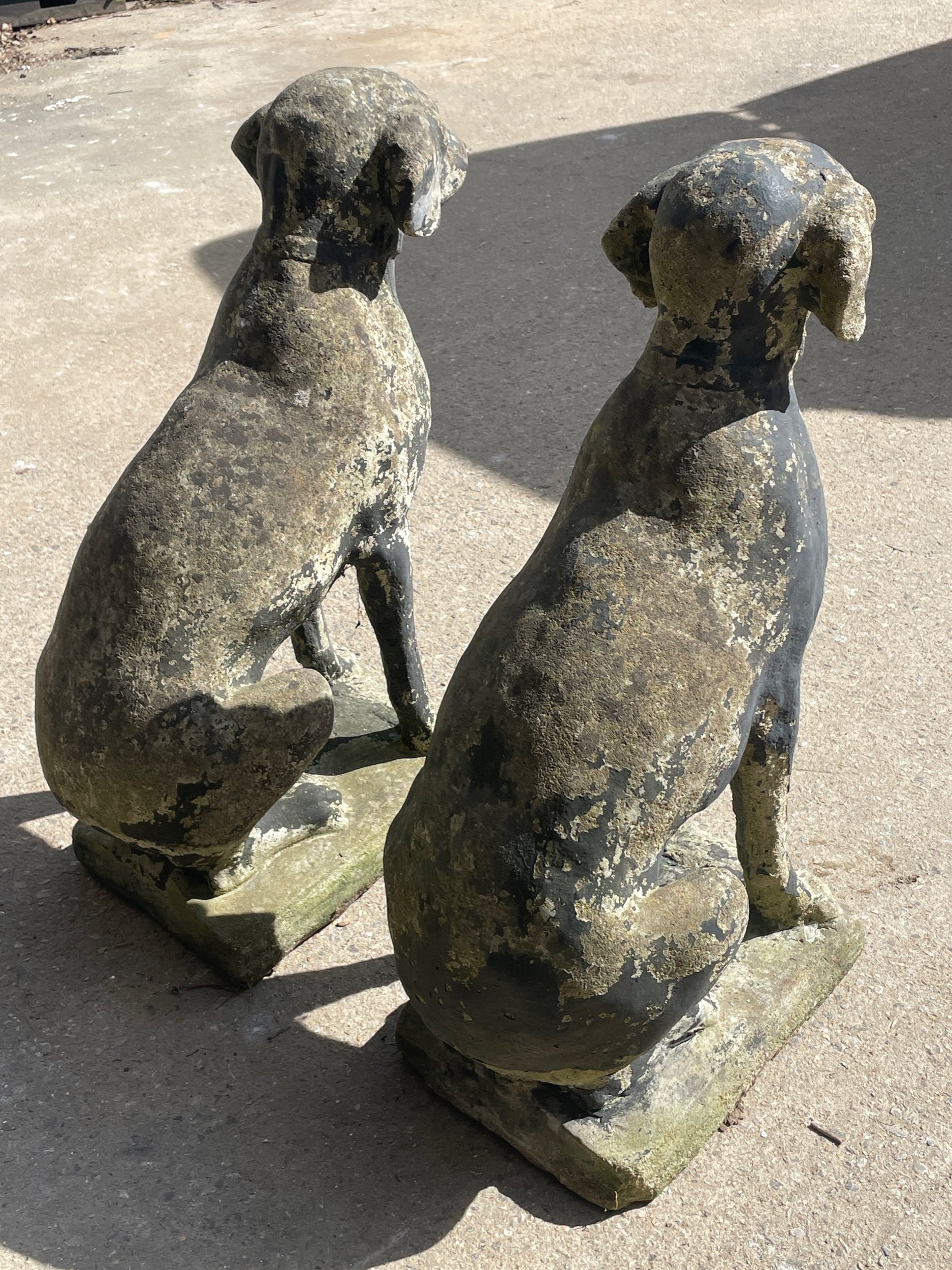 Pair of Stone Dogs