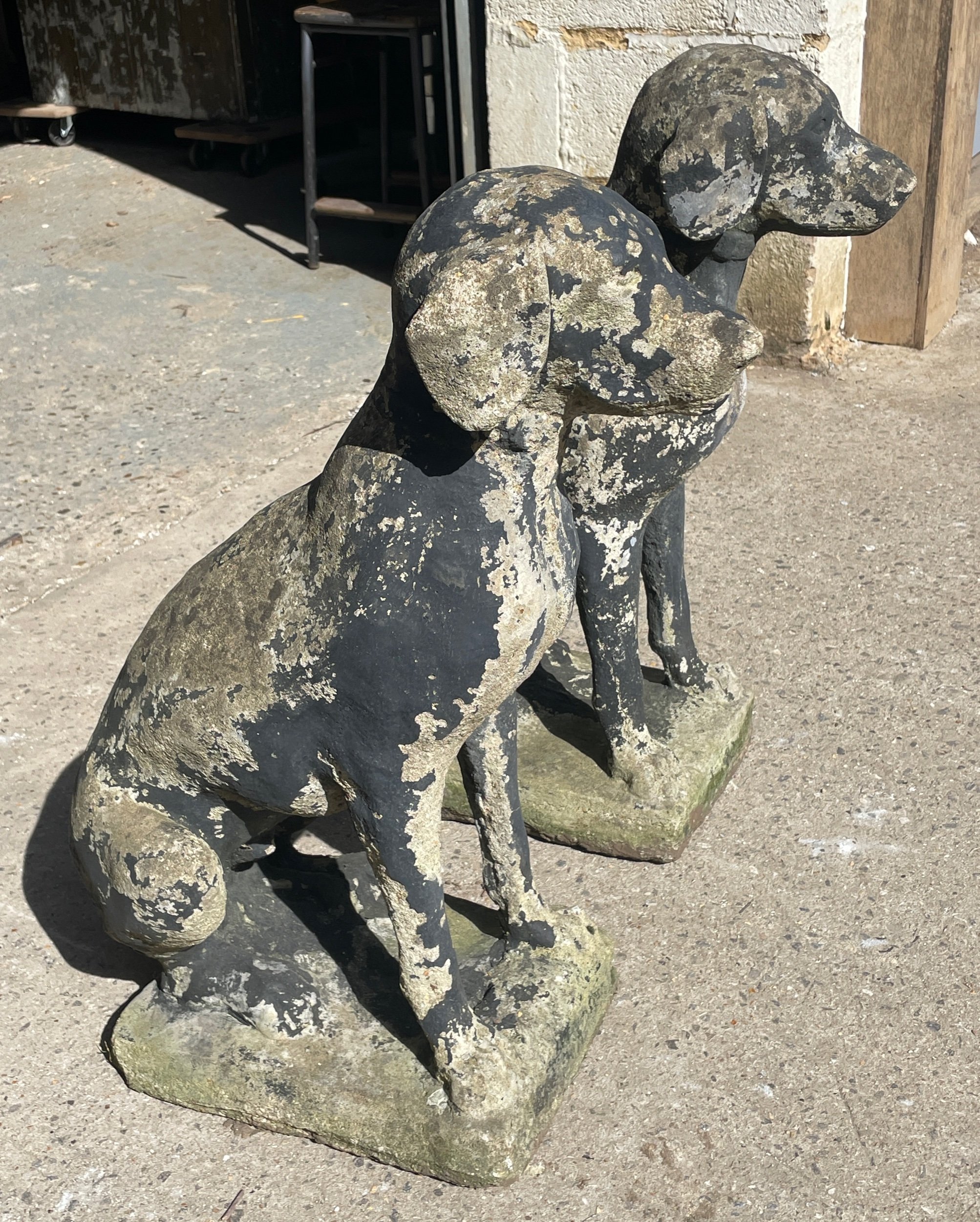 Pair of Stone Dogs
