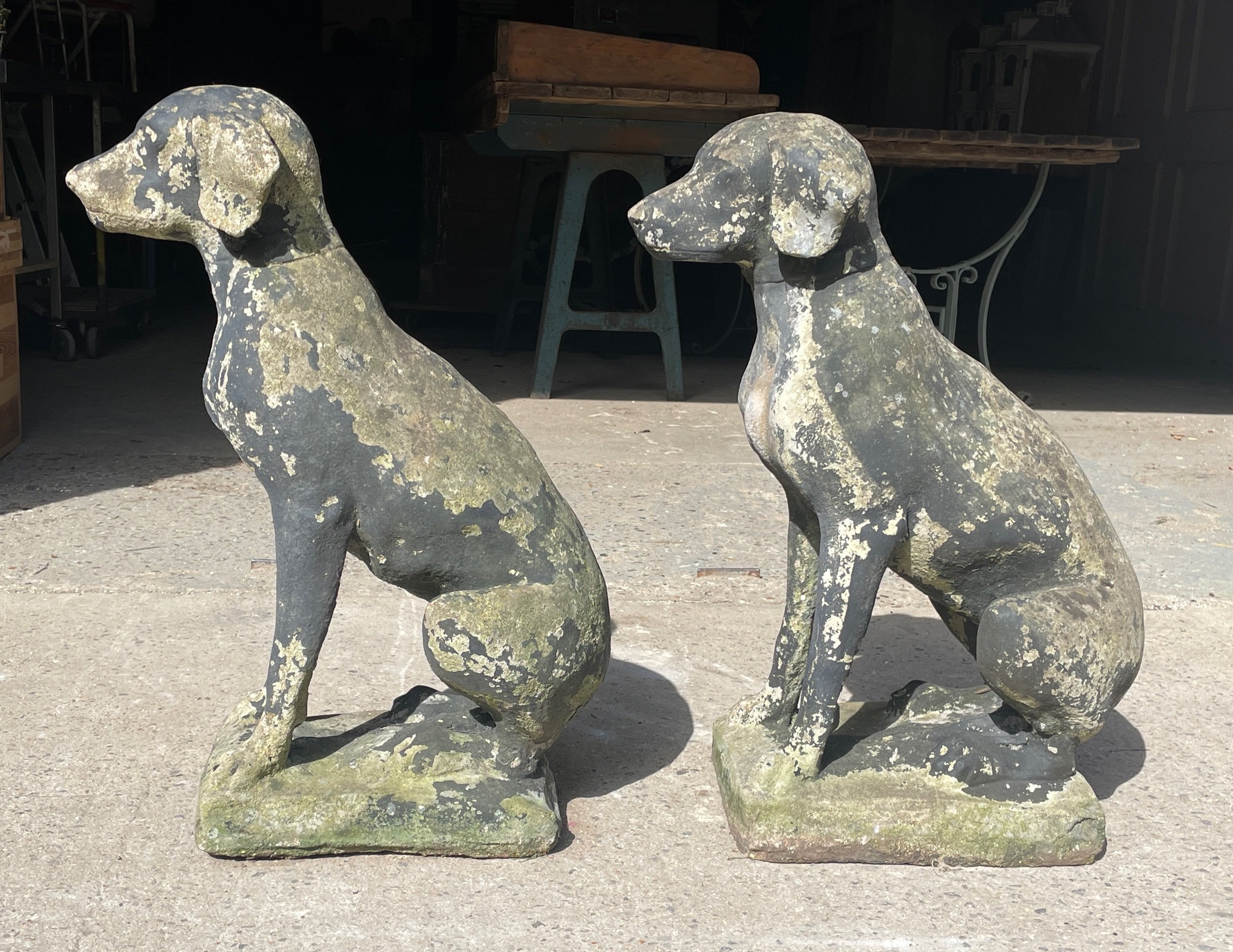 Pair of Stone Dogs