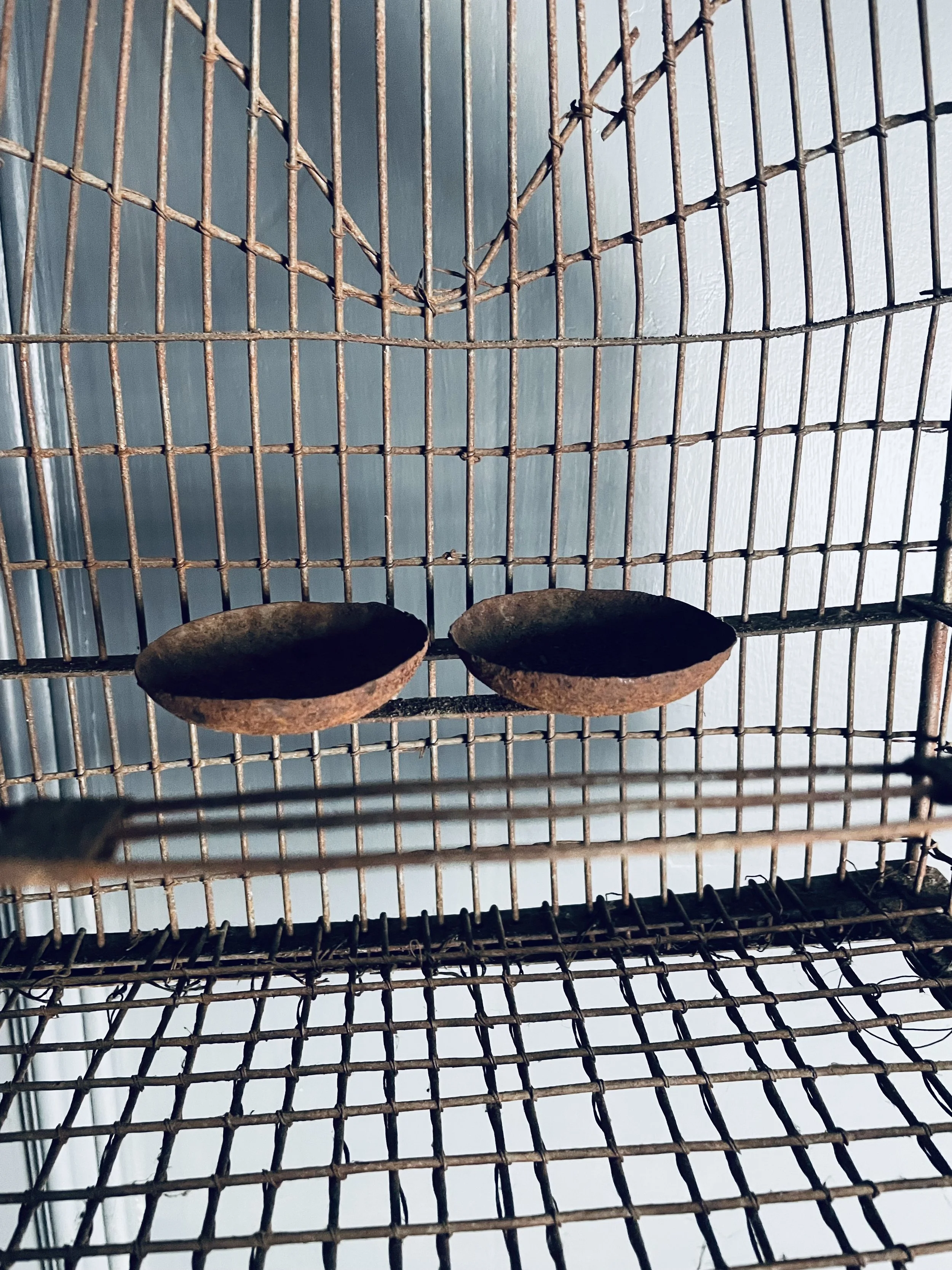 Victorian Ironwork Birdcage